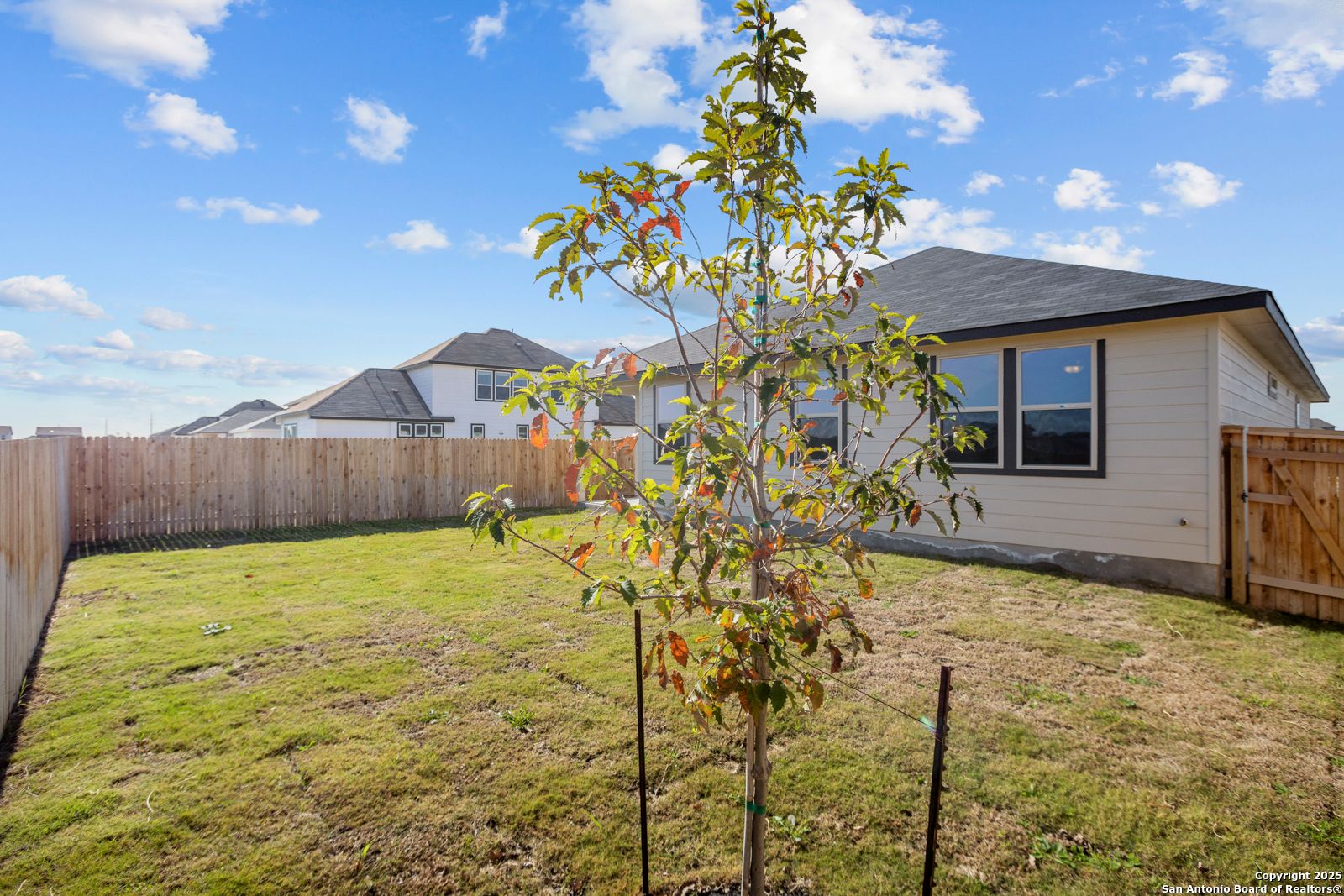 Fenced backyard with young tree and green lawn in Davidson Homes The Daphne H, Hannah Heights, Seguin, Texas
