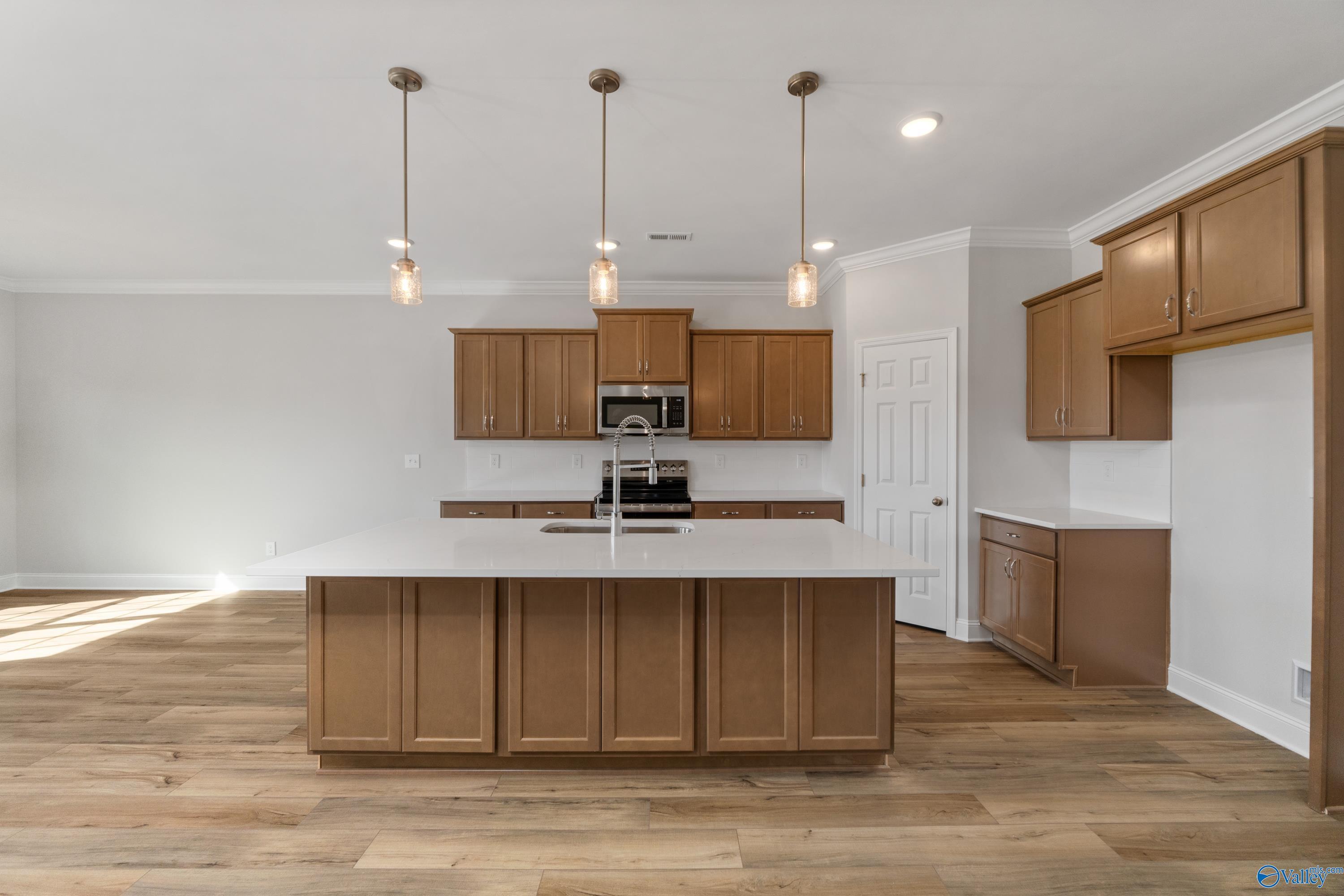 Image 2 of Davidson Homes' New Home at 29295 Limestone Creek Way