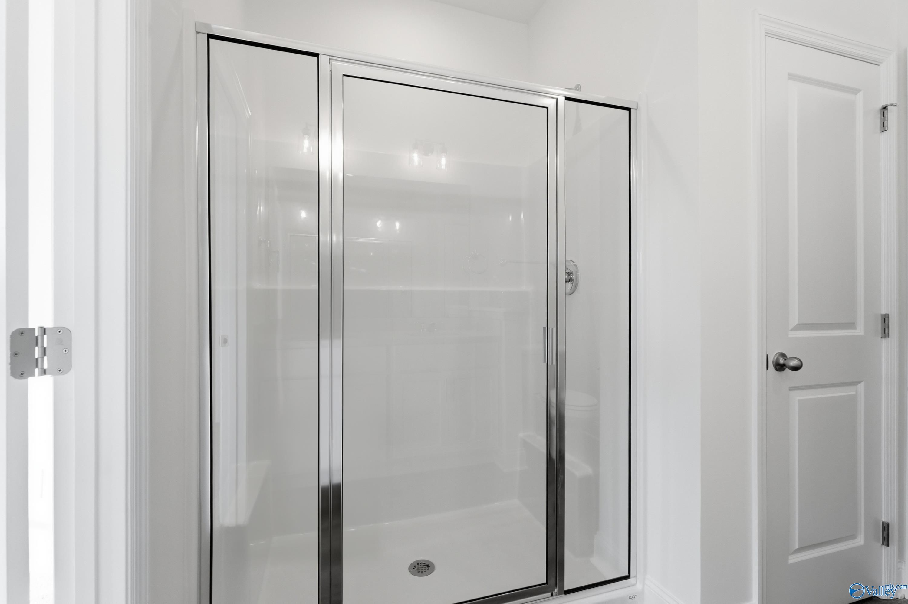 Elegant frameless glass walk-in shower in master bathroom, The Asheville C by Davidson Homes, Meridianville AL