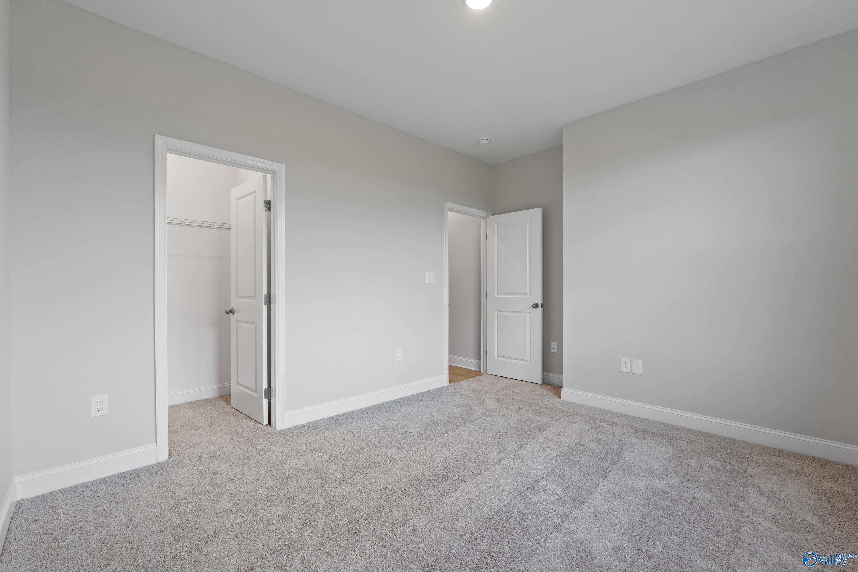 Spacious empty bedroom with gray walls, carpet flooring, walk-in closet, and adjacent door in Davidson Homes The Rockford B with Bonus, Toney, Alabama