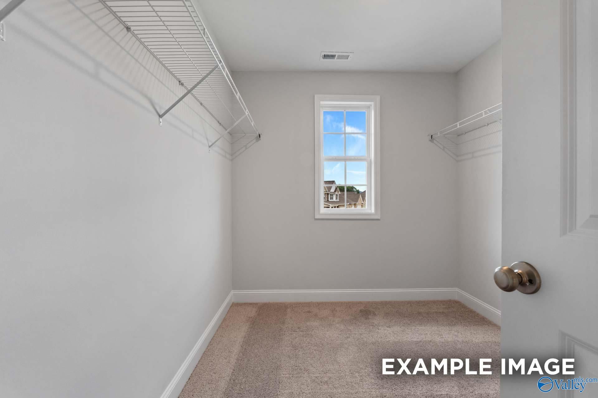 Spacious walk-in closet with wire shelving, beige carpet, and window in Davidson Homes The Shelby C, Arab, Alabama