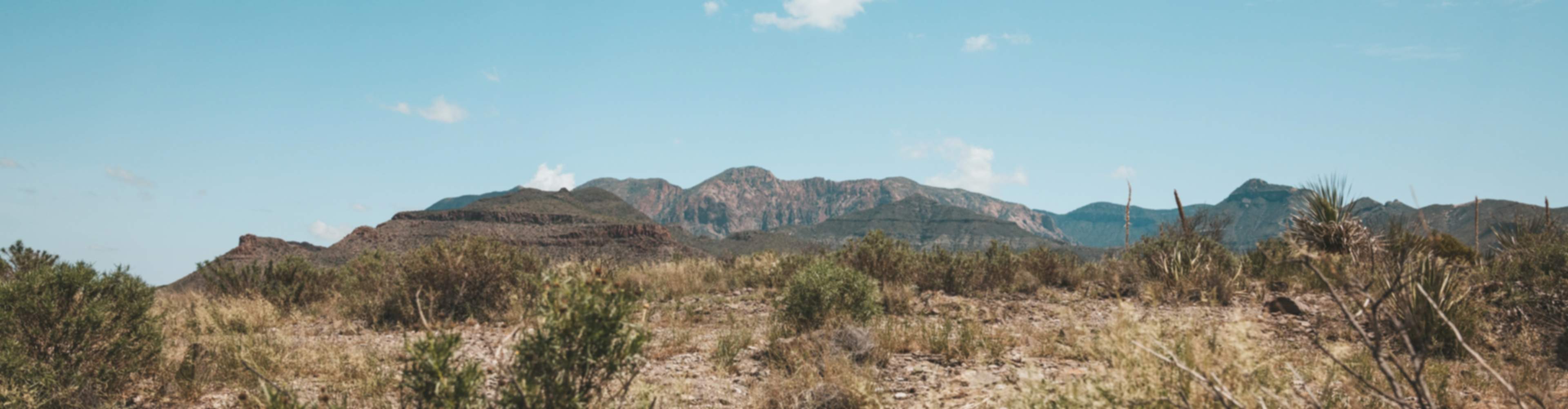 Texas backdrop, featuring a bright blue sky, bushes in a desert, and mountains in the background.