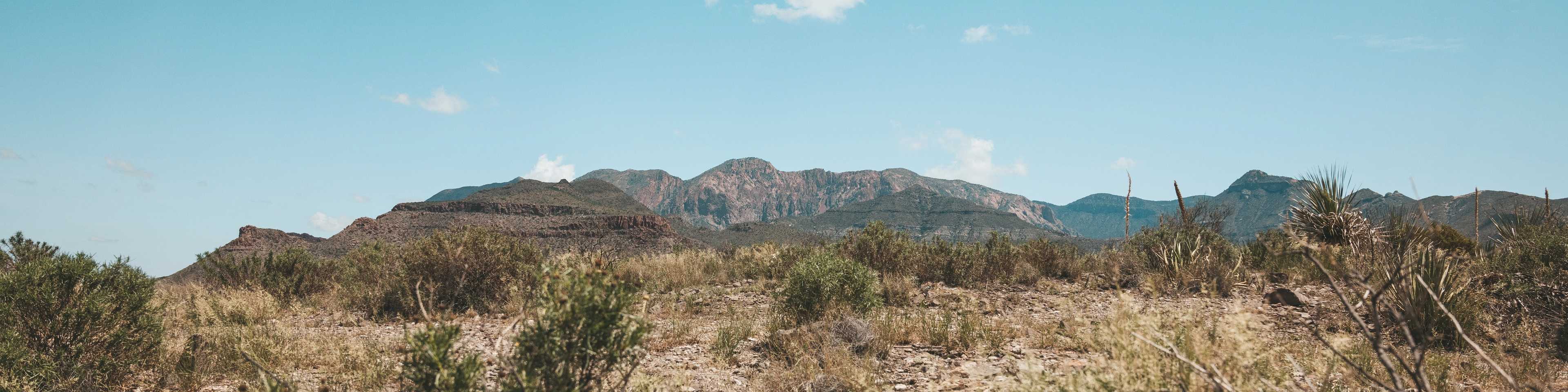 Texas backdrop, featuring a bright blue sky, bushes in a desert, and mountains in the background.