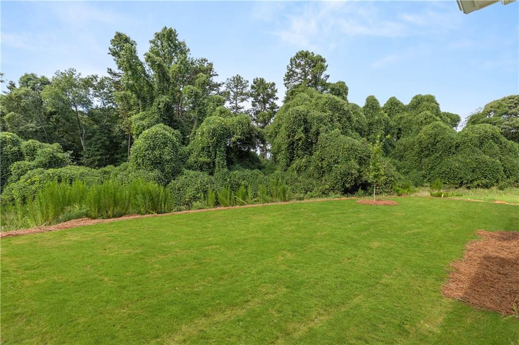 Private, tree-lined spacious backyard at The Russell A floor plan in Cedar Farms, Winder, Georgia.