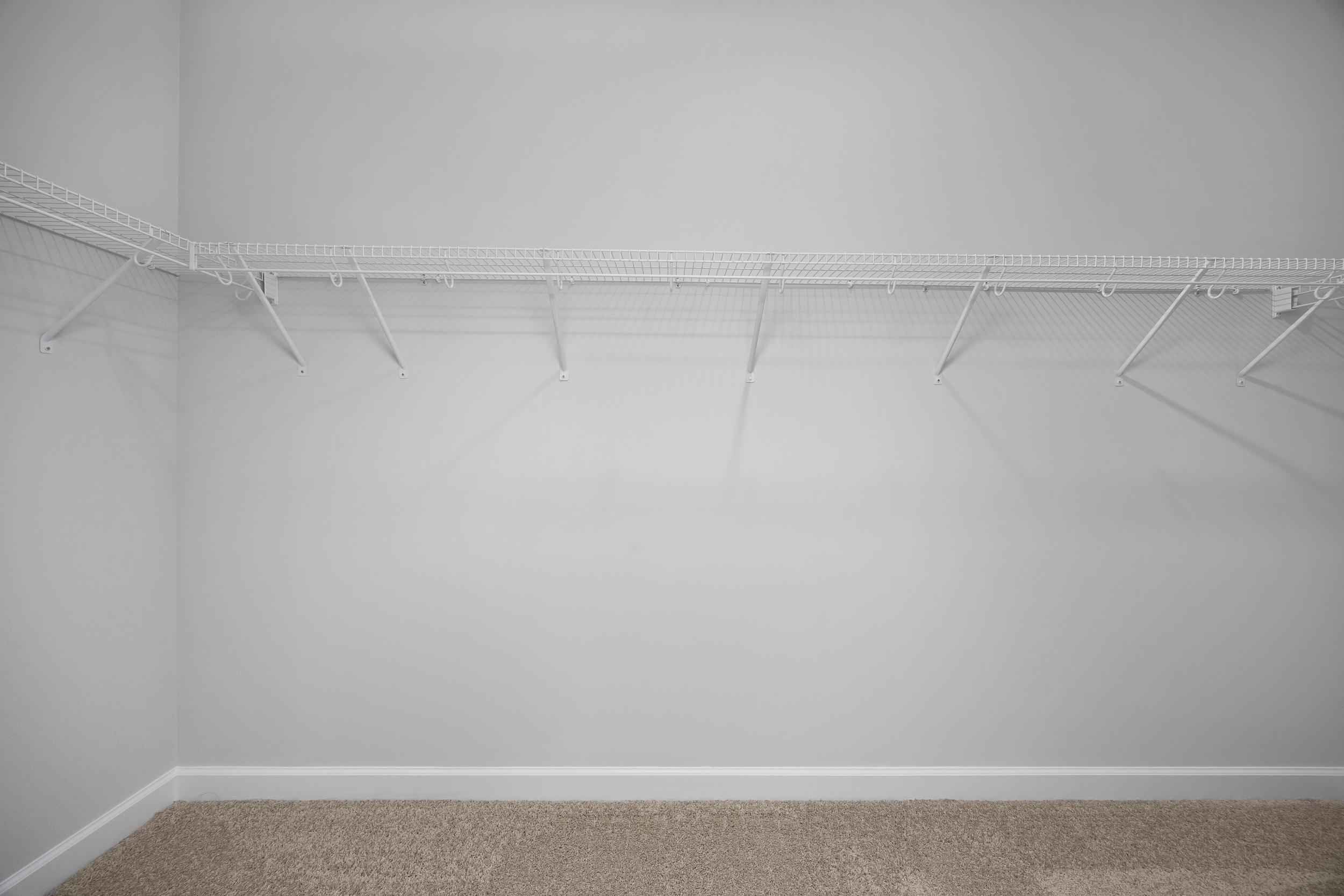 Spacious walk-in closet in The Daphne D master suite featuring white hanging rods, shelves, and neutral carpet flooring