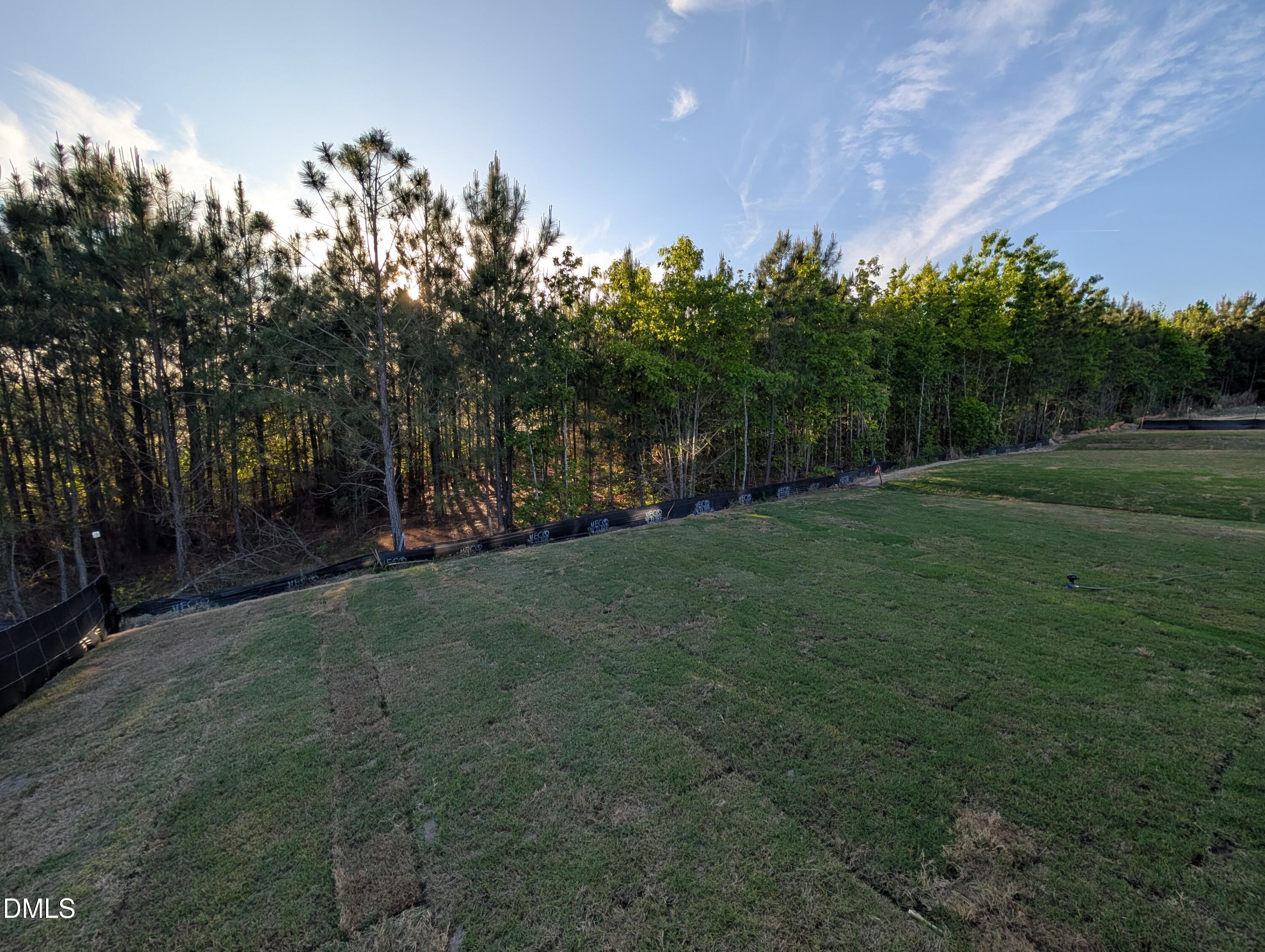 Image 26 of Davidson Homes' New Home at 905 Diana Victoria Court