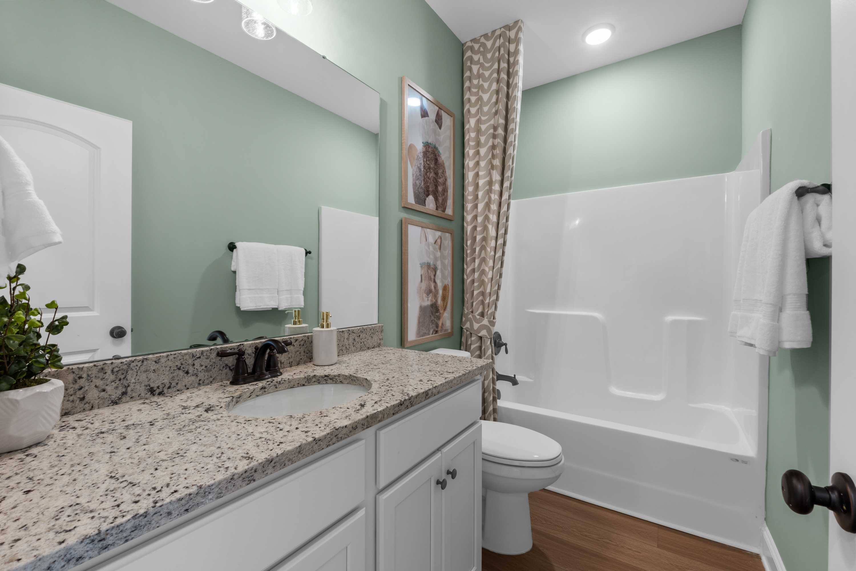 Serene mint green master bathroom in The Daphne F home design featuring granite vanity, soaking tub shower, and framed artwork