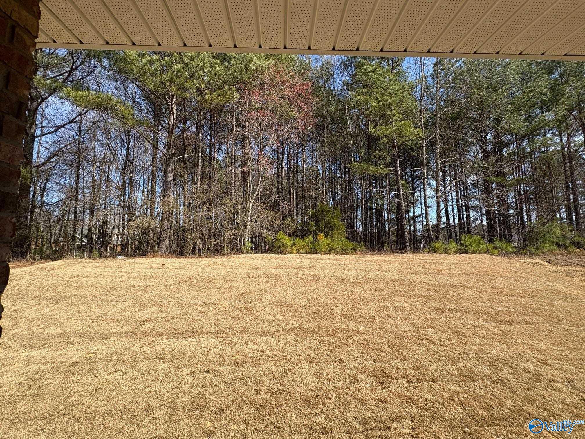 Image 9 of Davidson Homes' New Home at 349 Overland Pass