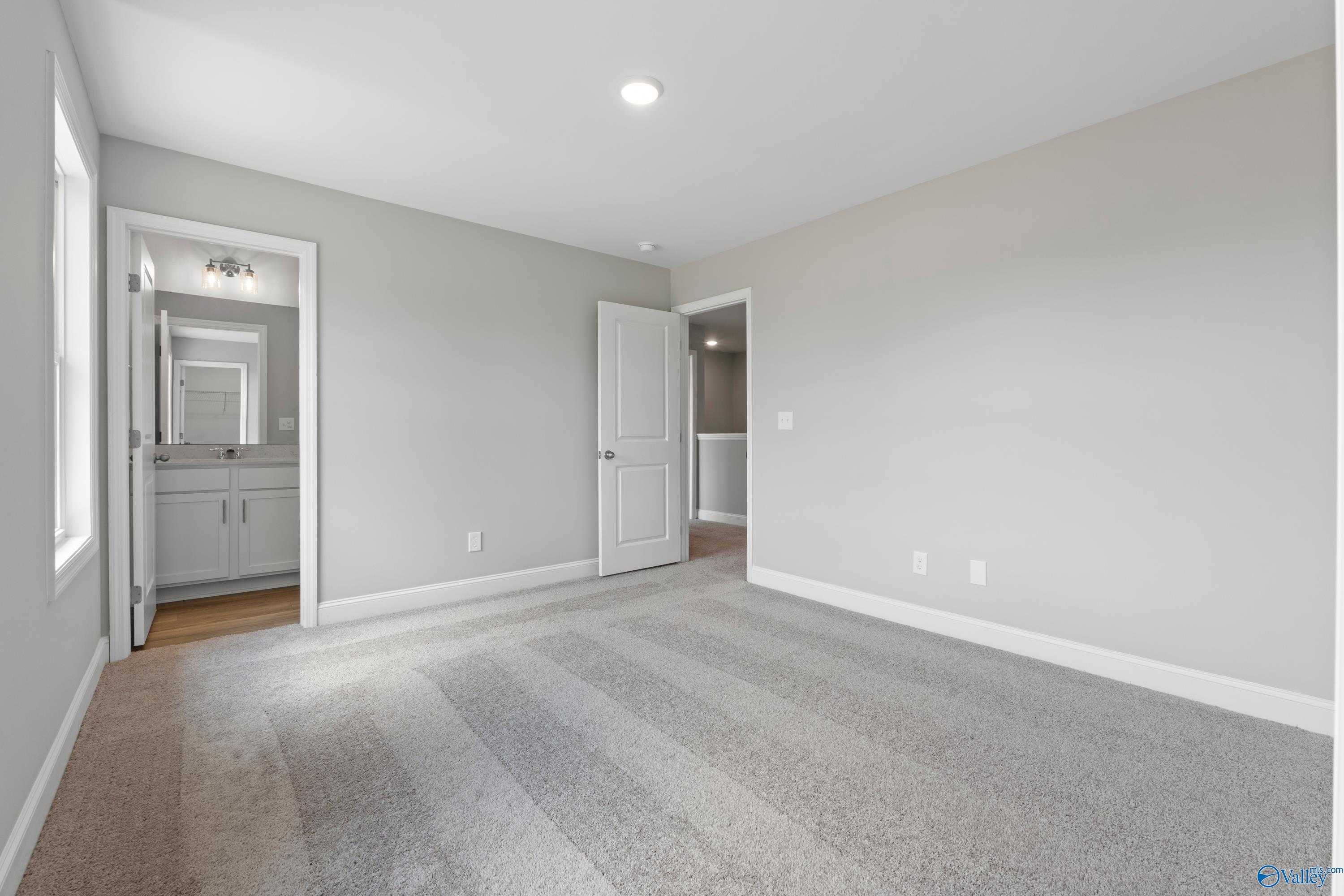 Spacious bedroom with attached bath vanity, gray walls, carpet flooring in Davidson Homes Chelsea B, New Market Alabama