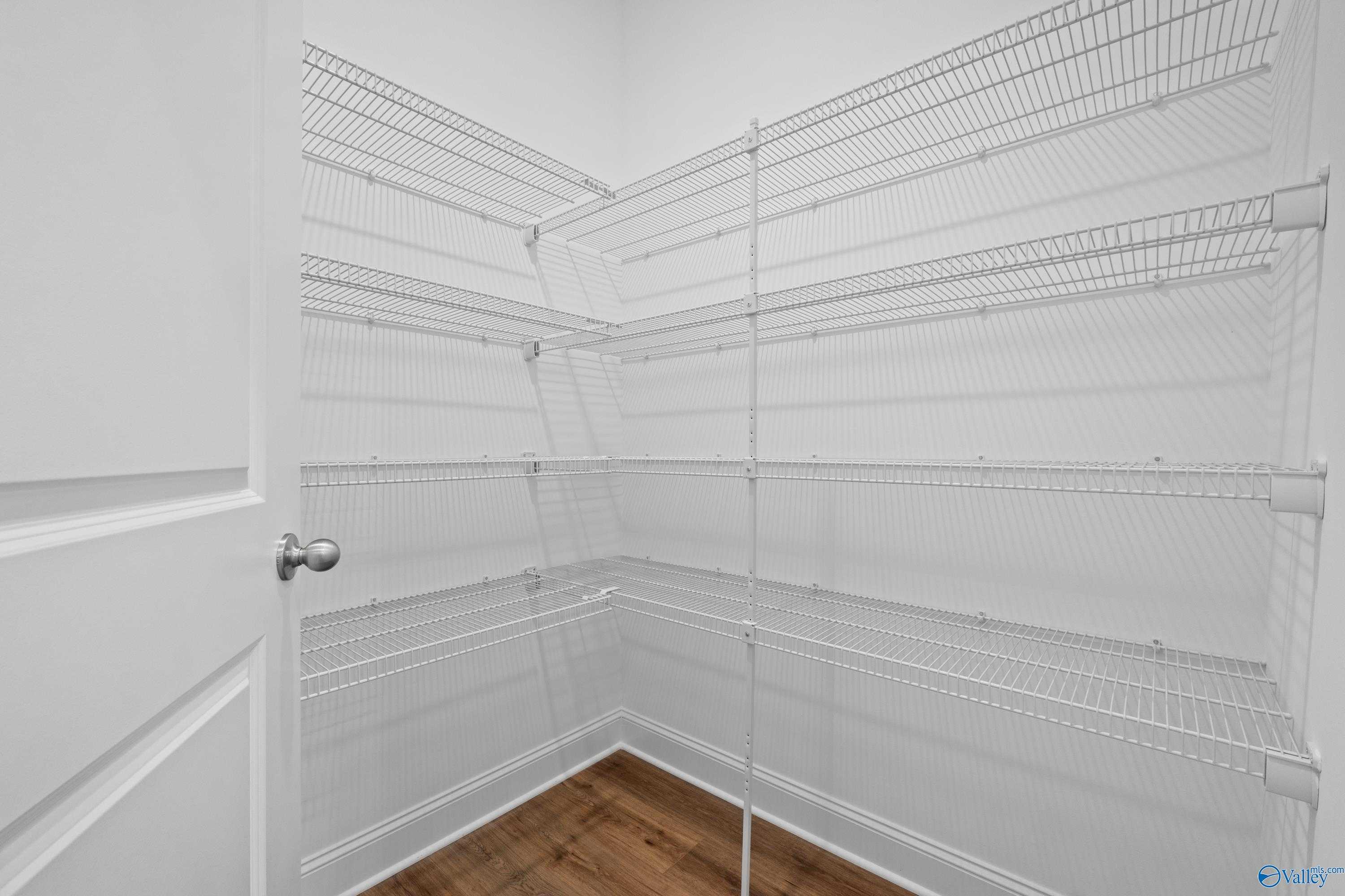 Spacious walk-in pantry with white wire corner shelving and open door in Davidson Homes The Oxford, Harvest, Alabama