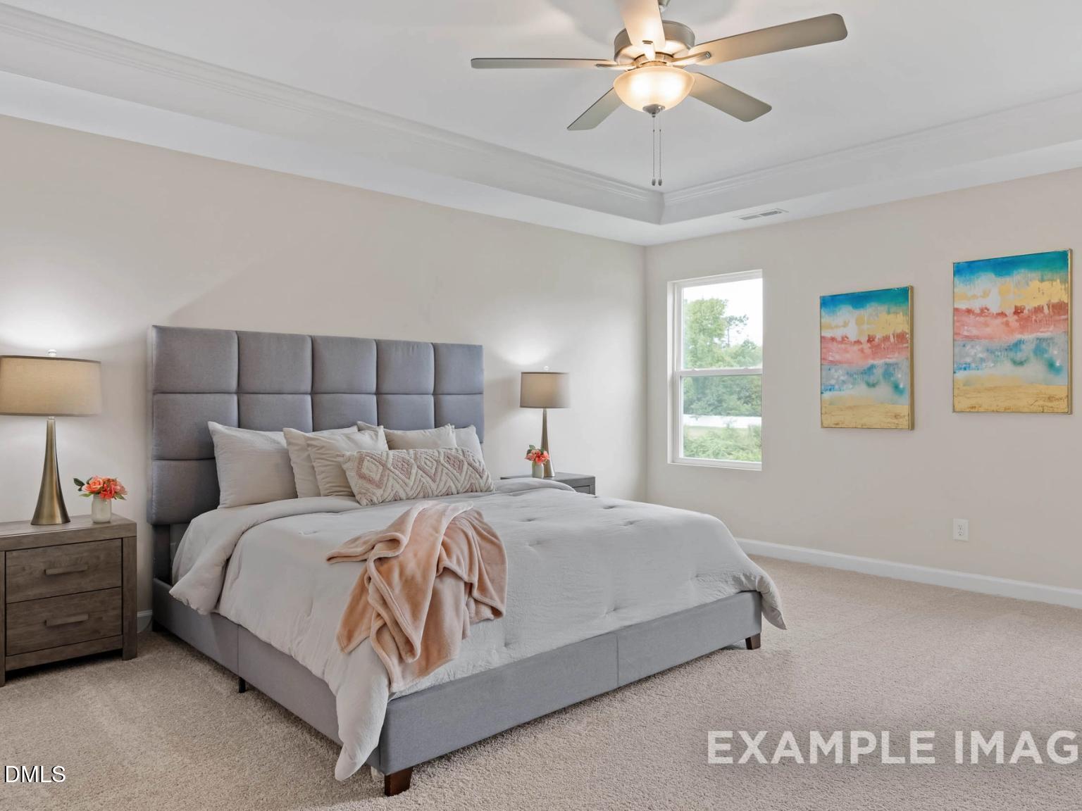 Image 13 of Davidson Homes' New Home at 901 Diana Victoria Court