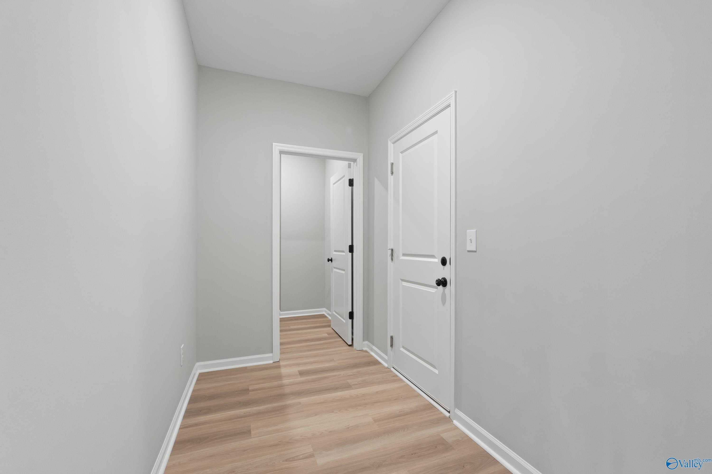 Bright hallway with gray walls, white doors, and light wood floors in Davidson Homes The Phoenix, Hazel Green, Alabama
