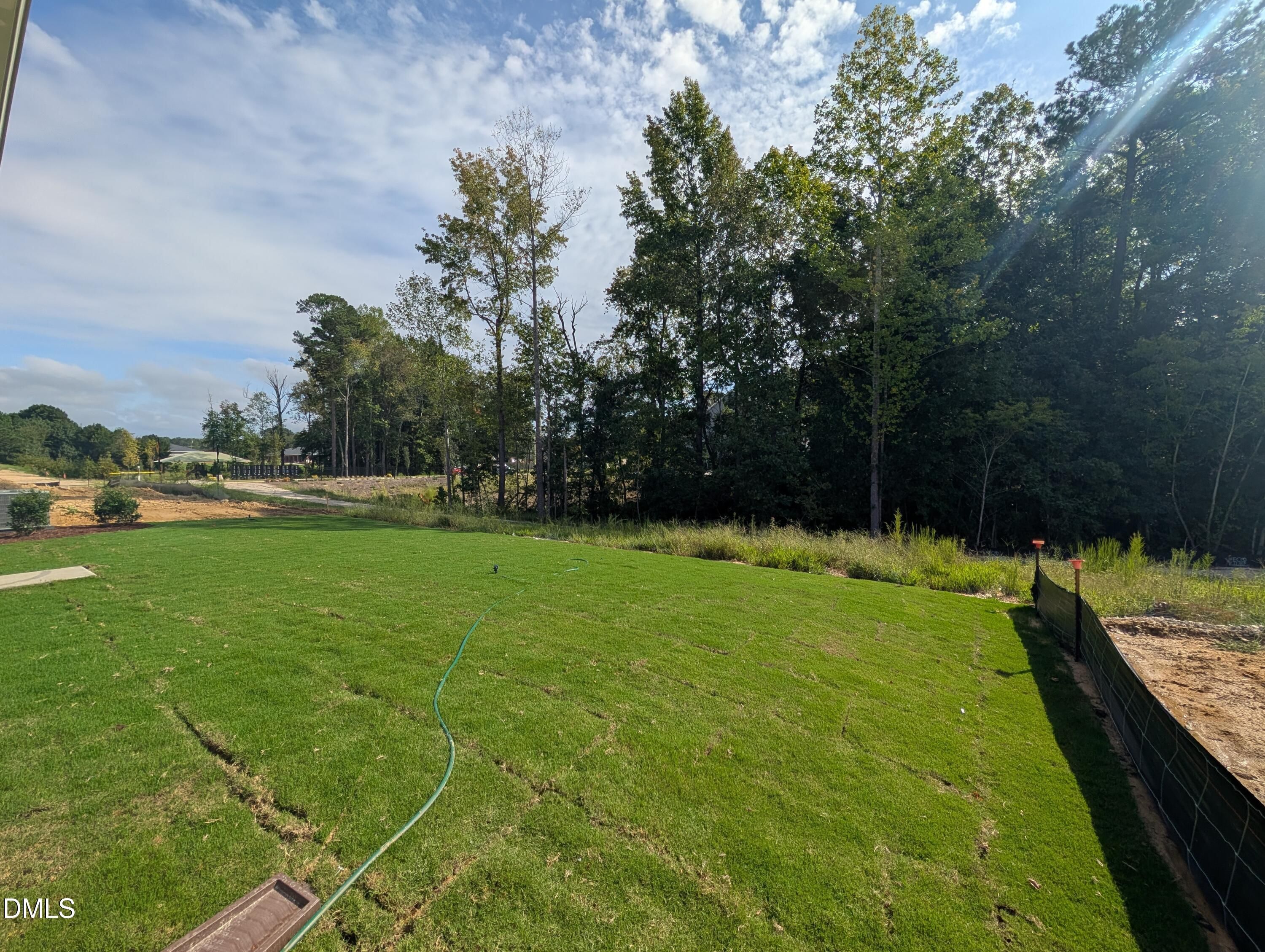 Expansive fenced backyard with lush new sod bordering wooded tree line in Wendell Ridge, Wendell, NC by Davidson Homes
