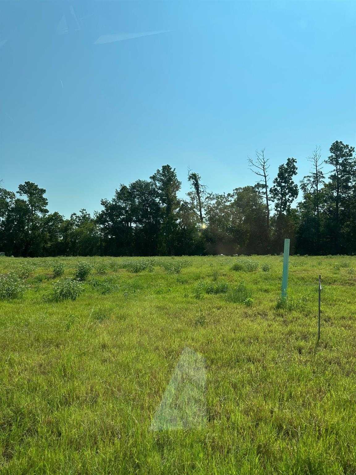 Expansive vacant lot with lush green grass, pine trees, and clear blue sky in Sundance Cove, Crosby, Texas for Davidson Homes The Daphne F
