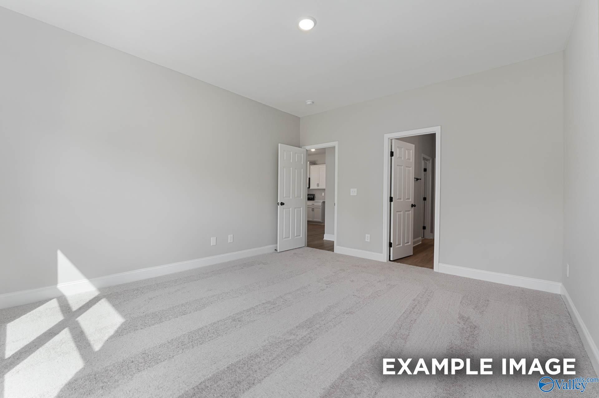 Bright empty bedroom with gray carpet, light walls, and open doors to bathroom in Davidson Homes The Daphne D, Meridianville