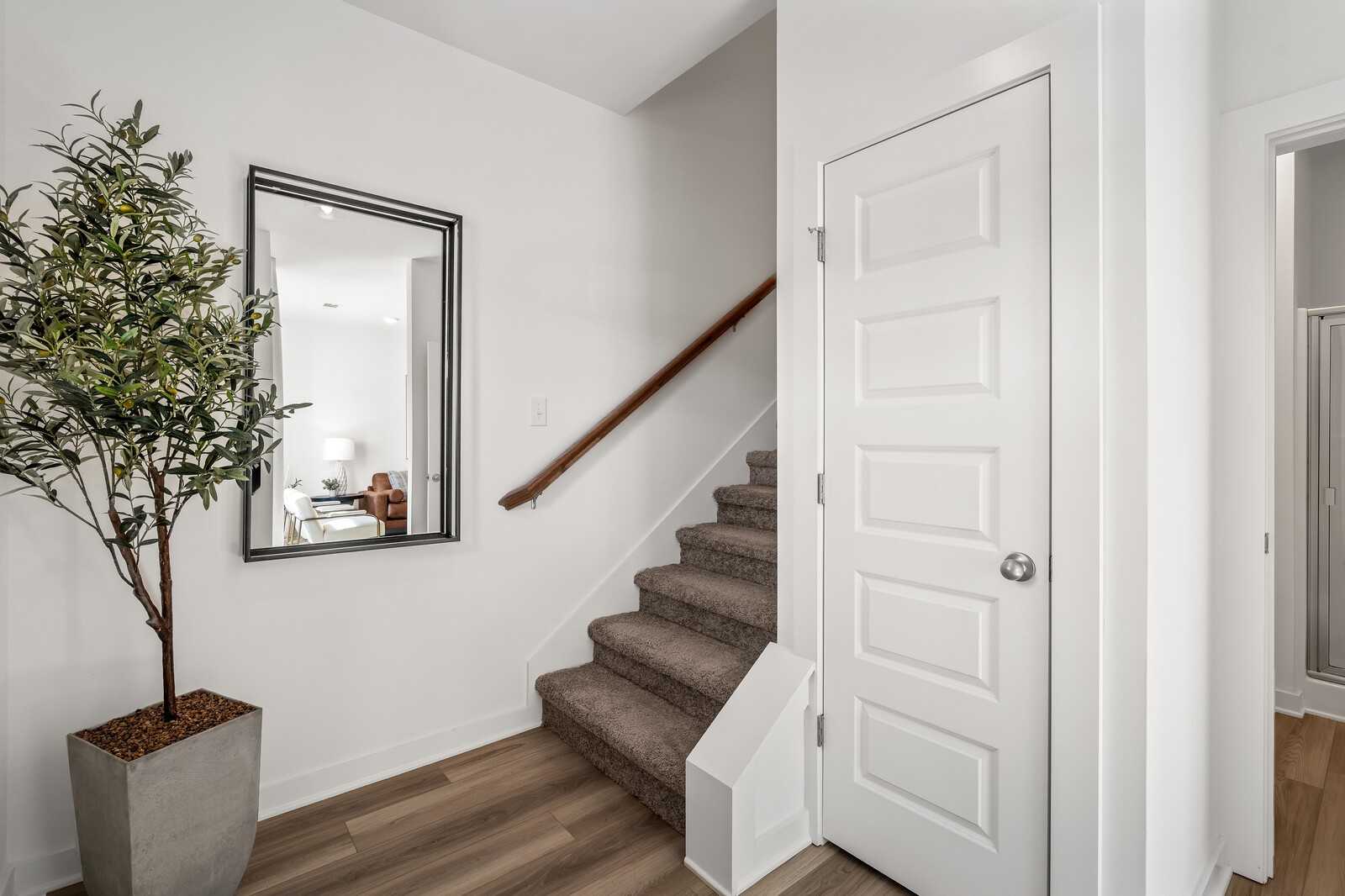 Bright hallway with carpeted staircase, potted olive tree, large mirror, and white doors in Davidson Homes Cumberland B, Gallatin TN
