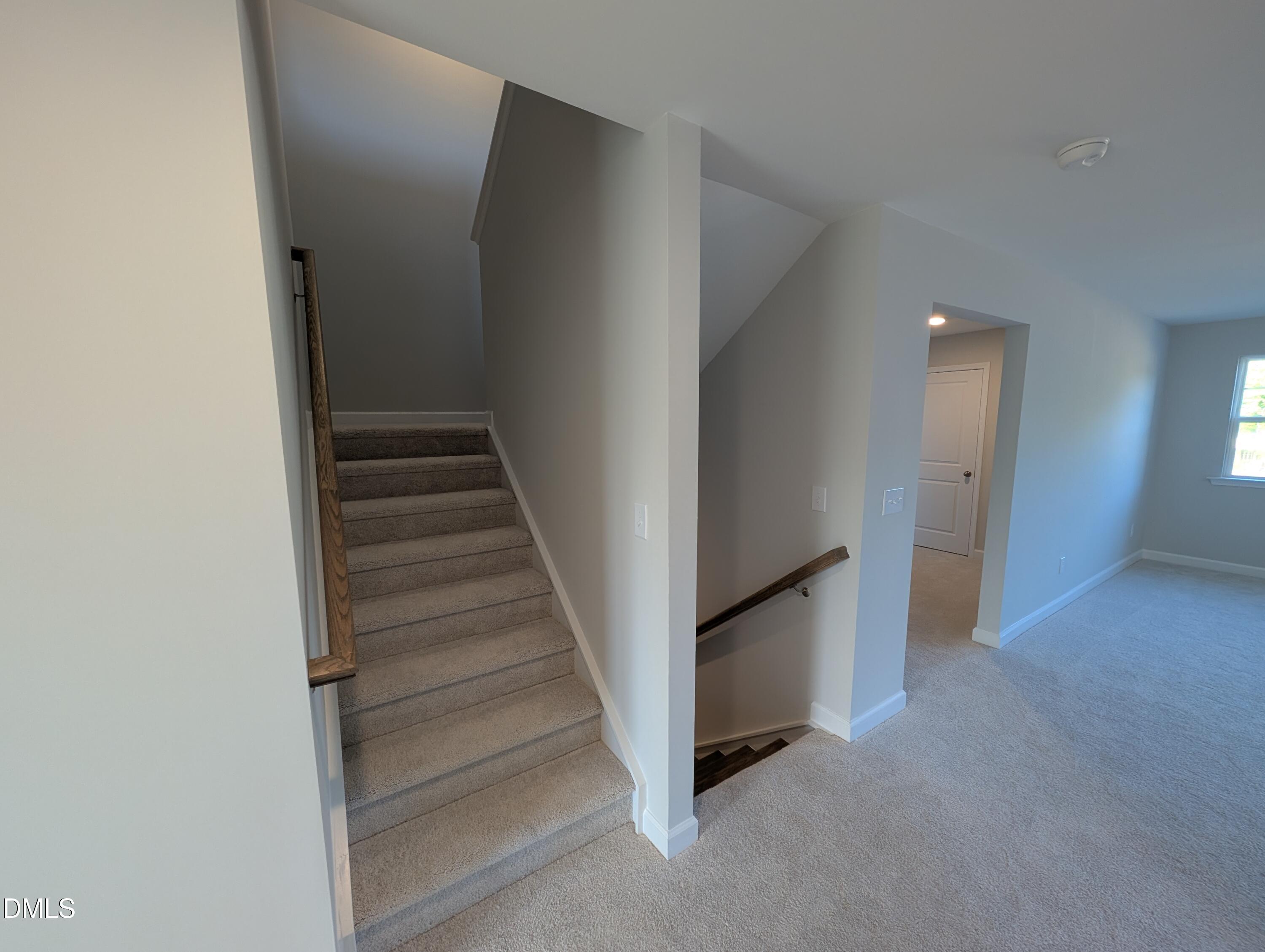 Image 25 of Davidson Homes' New Home at 909 Diana Victoria Court