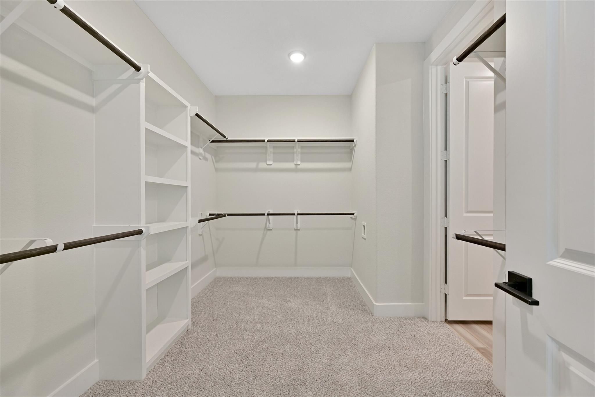 Spacious walk-in closet with white shelving, hanging rods, and carpeted floor in Davidson Homes The Edward C, Lago Mar, Texas City