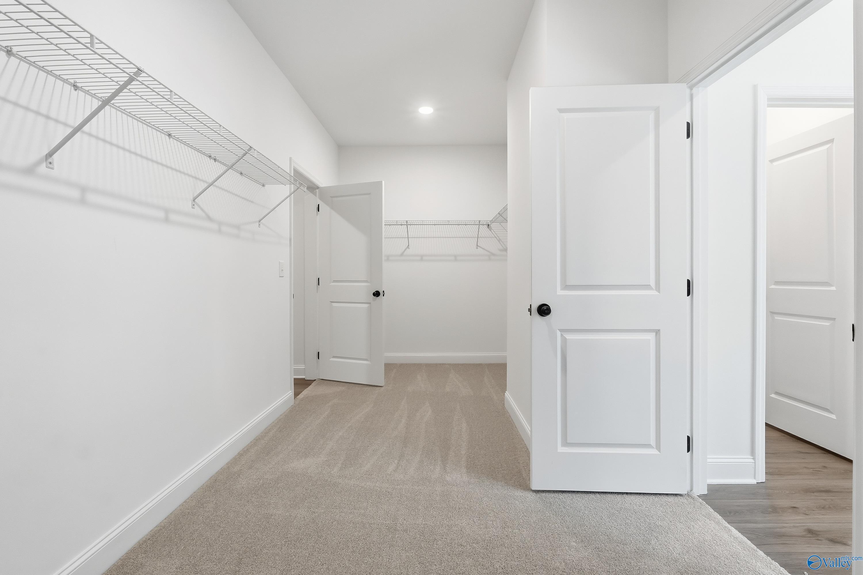 Spacious master walk-in closet with wire shelving, open doors, and carpet flooring in Davidson Homes The Rockford D, Hazel Green, AL