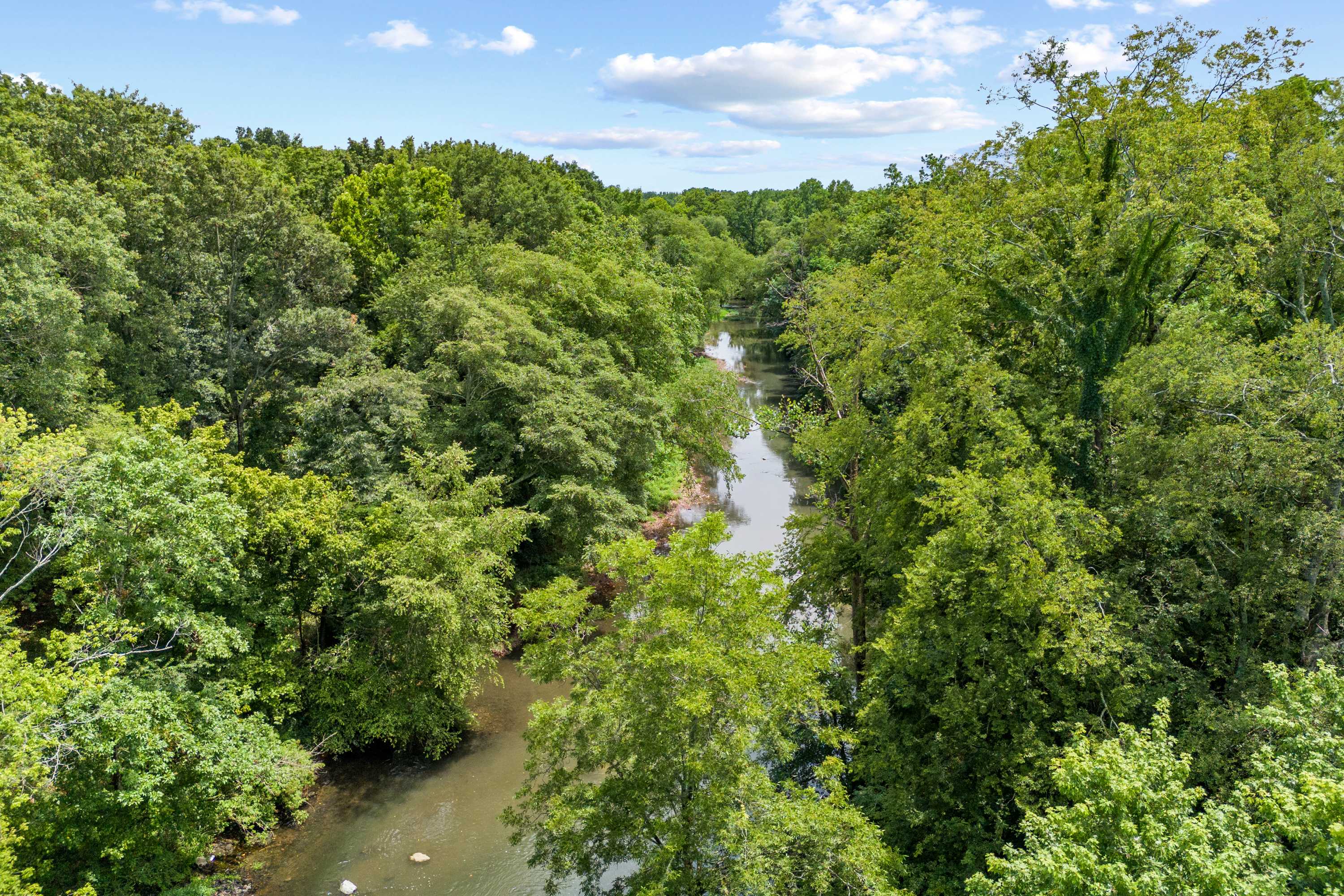 Serene river winding through lush green forest at The Meadows in Athens, Alabama