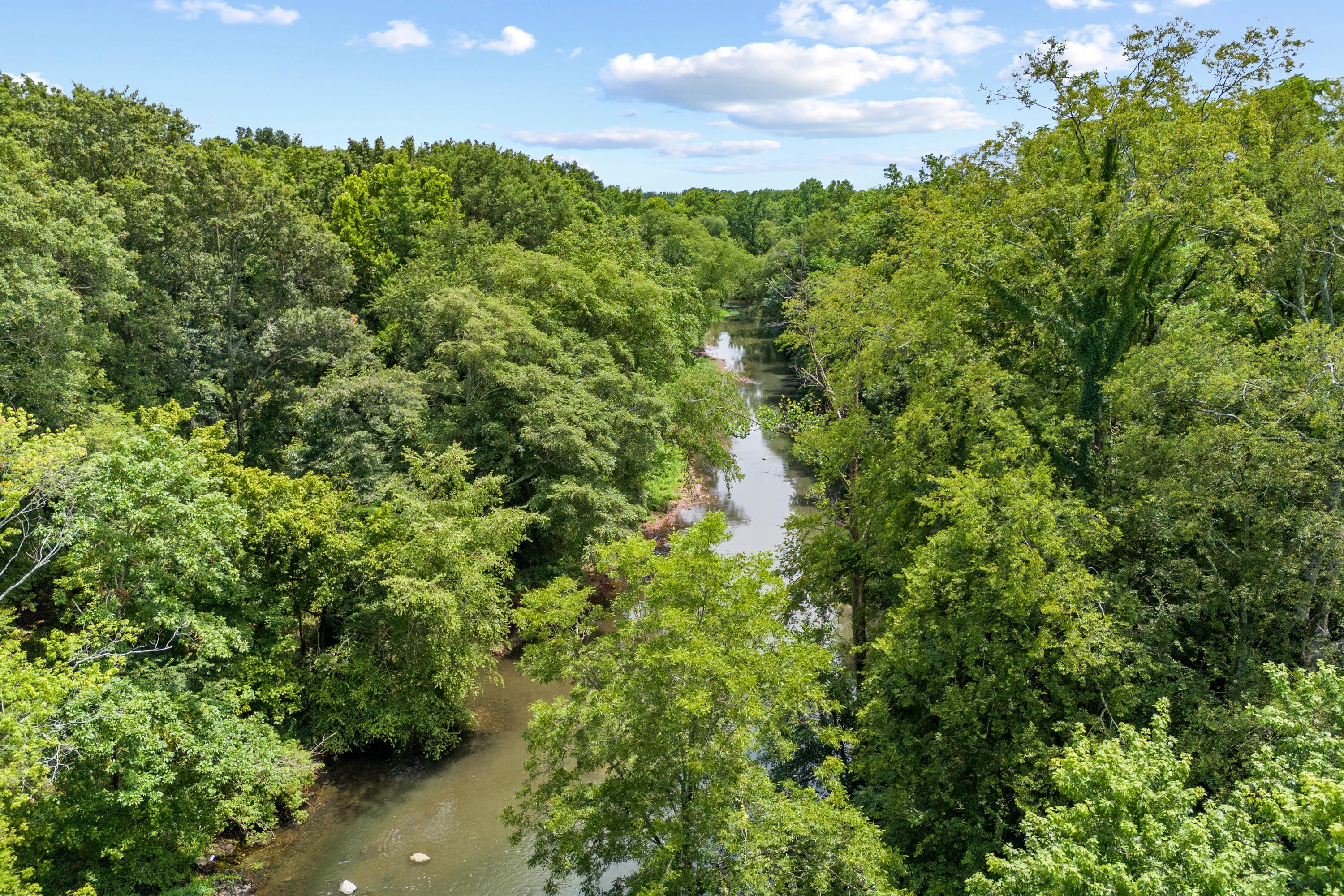 Serene river winding through lush green forest at The Meadows in Athens, Alabama