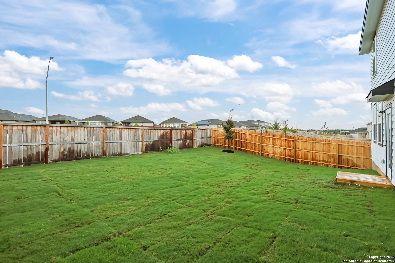 Private backyard with fresh sod, privacy fences, young trees, and covered patio in Davidson Homes The Douglas F, Comanche Ridge, San Antonio