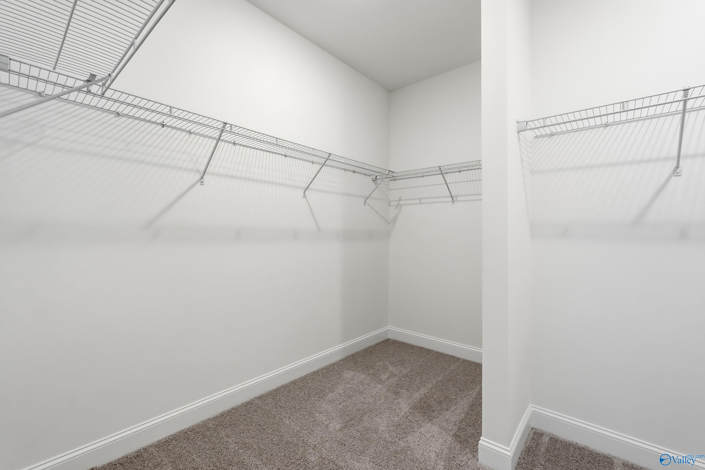 Spacious walk-in closet with wire shelving, white walls, and carpeted floor in Davidson Homes The Everett, Harvest, Alabama