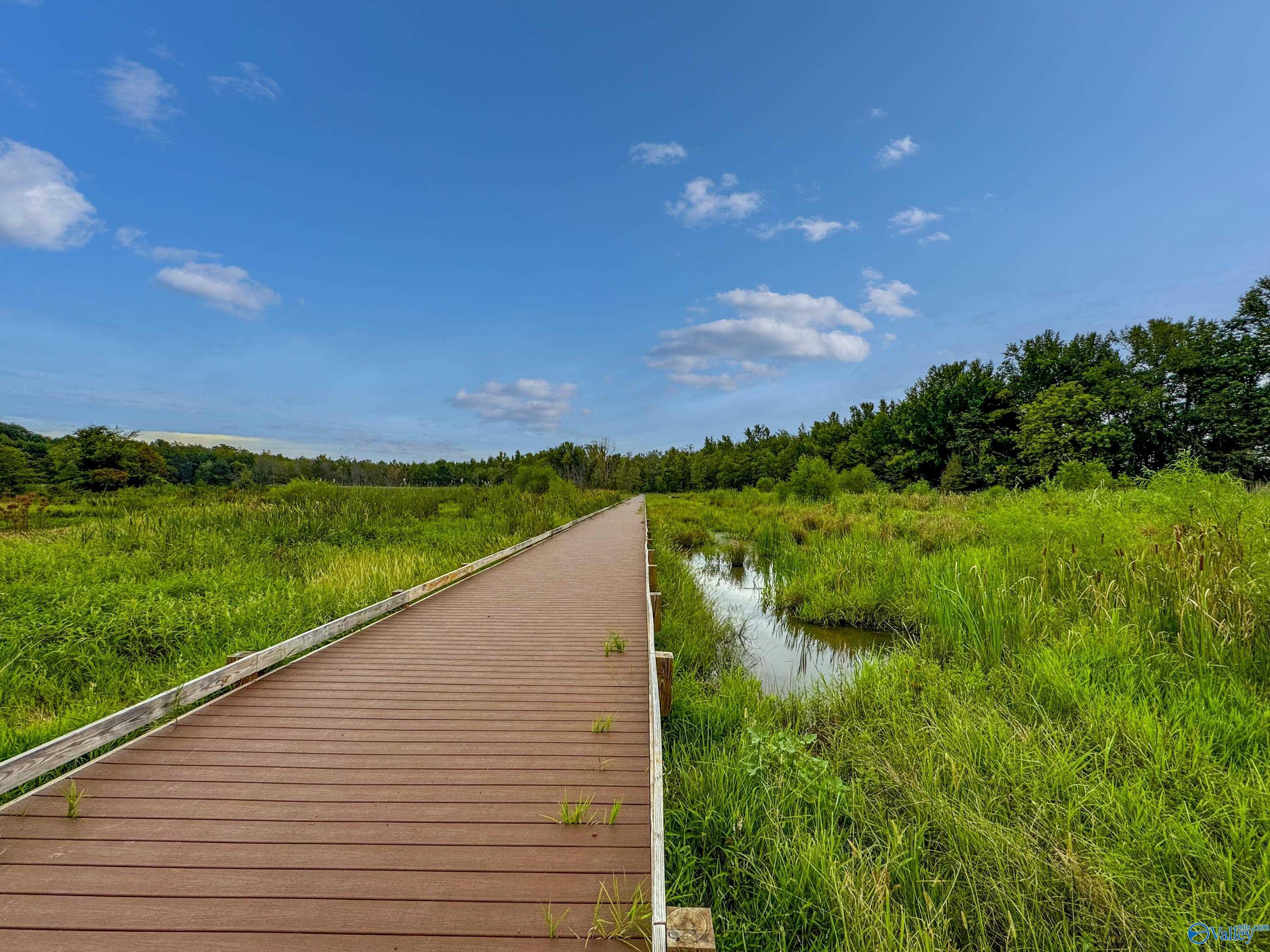 Scenic wooden boardwalk through lush green wetlands and marsh in Barnett's Crossing, Madison, Alabama
