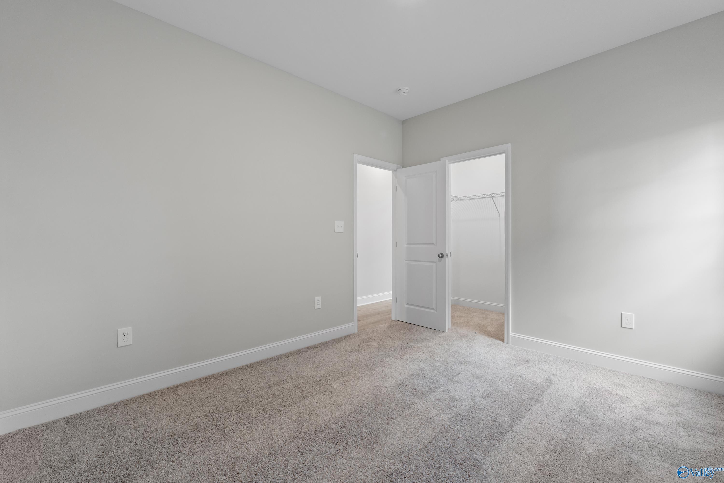 Spacious bedroom with light gray walls, beige carpet, walk-in closet and en-suite door in Davidson Homes The Rockford B, Toney, Alabama