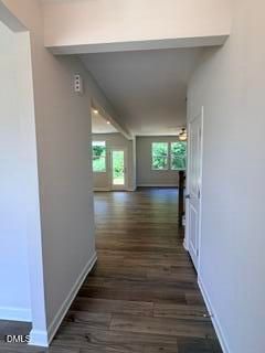 Image 4 of Davidson Homes' New Home at 521 Crescent Wood Trail