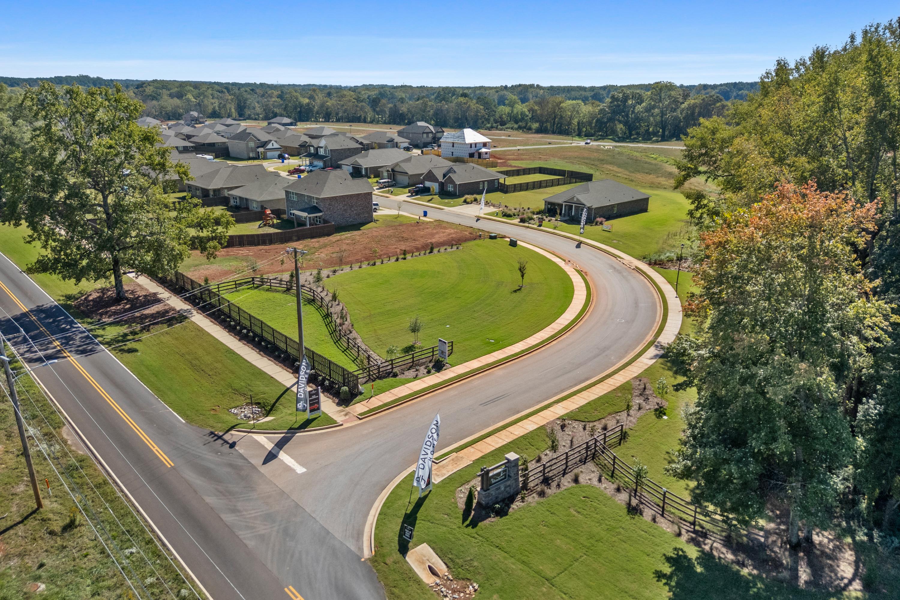 Entrance to The Meadows in Athens Alabama by Davidson Homes with curved road, new homes, lush lawns, and trees