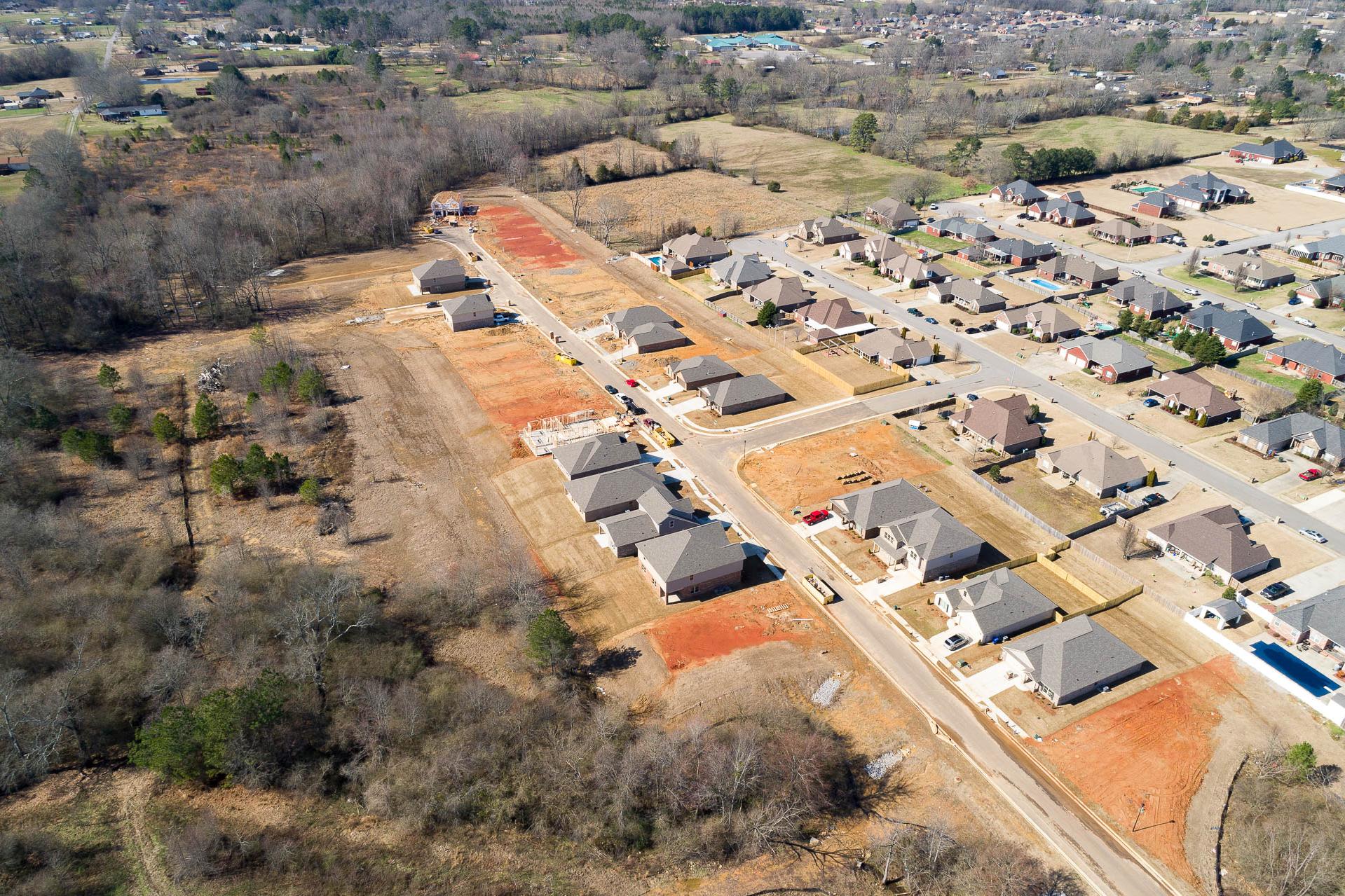 Homes in Davidson Homes' Magnolia Preserve community in Hartselle, Alabama