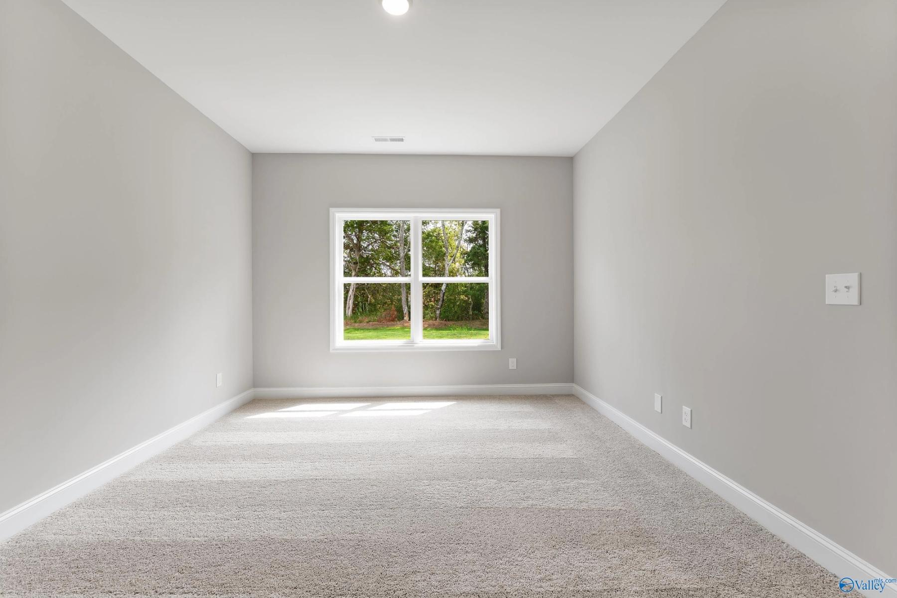 Image 19 of Davidson Homes' New Home at 151 Ivy Vine Drive