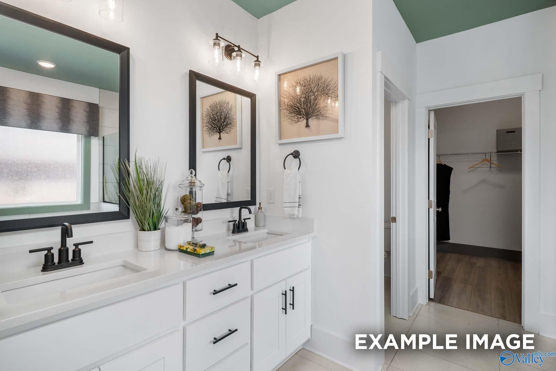 Elegant master bathroom with double vanity, green ceiling, and walk-in closet in Davidson Homes The Rockford B, Madison, Alabama