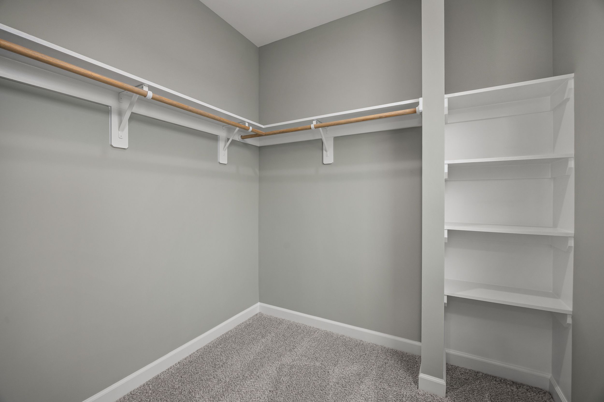 Spacious walk-in closet at Forestville Yard in Knightdale NC with gray walls, white shelving, wooden rods