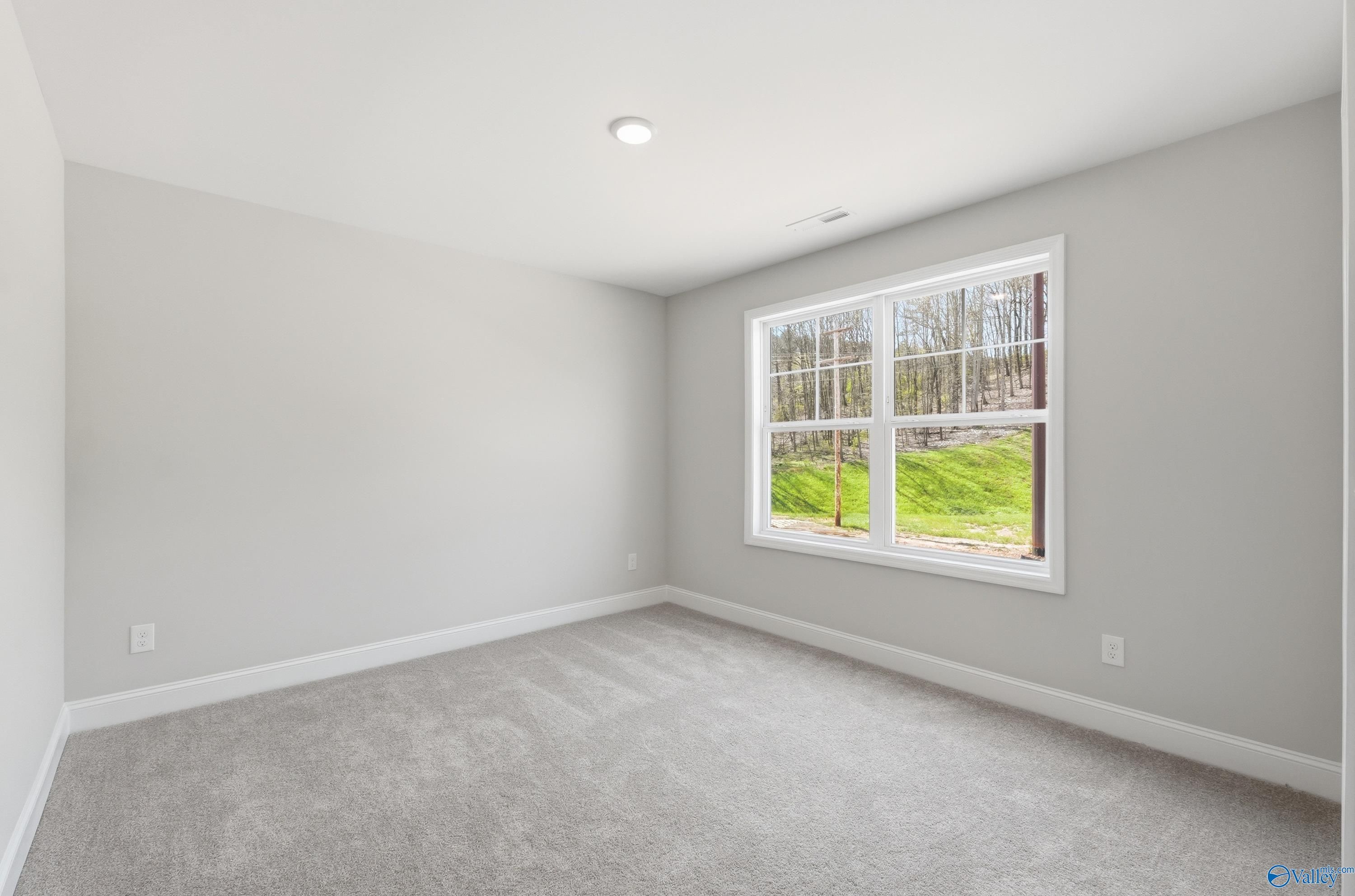 Bright bedroom with gray carpet, light walls, and large window to lush green yard in Davidson Homes The Chelsea D, Cullman AL