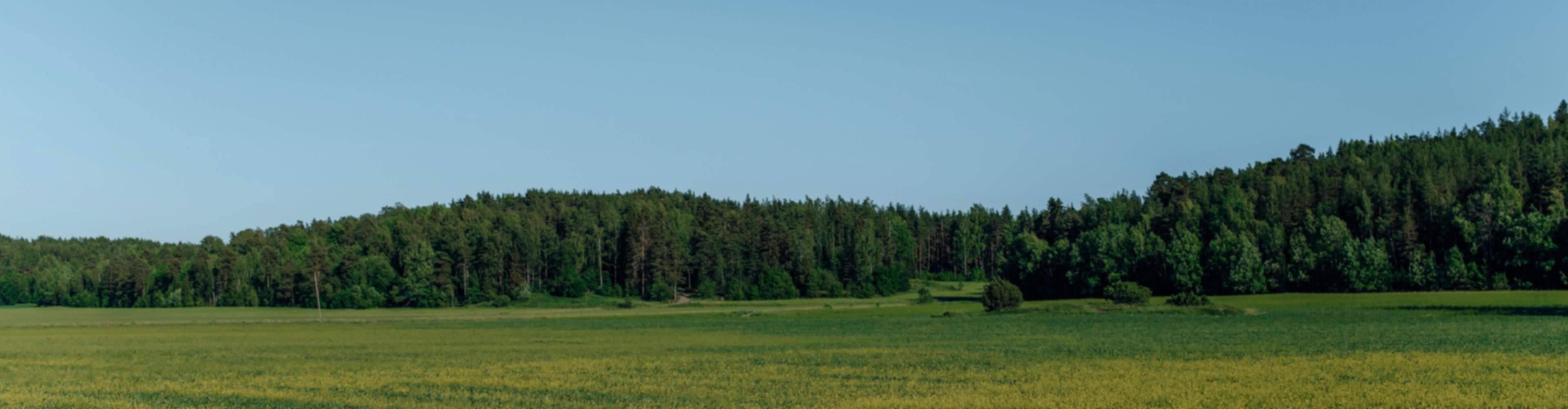 Green field in Athens, Alabama