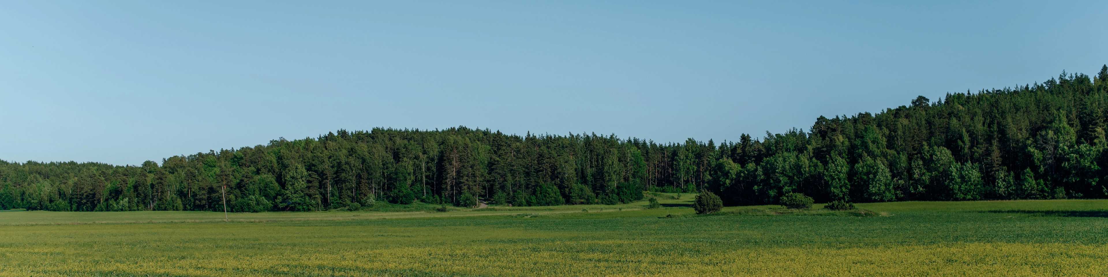 Green field in Athens, Alabama