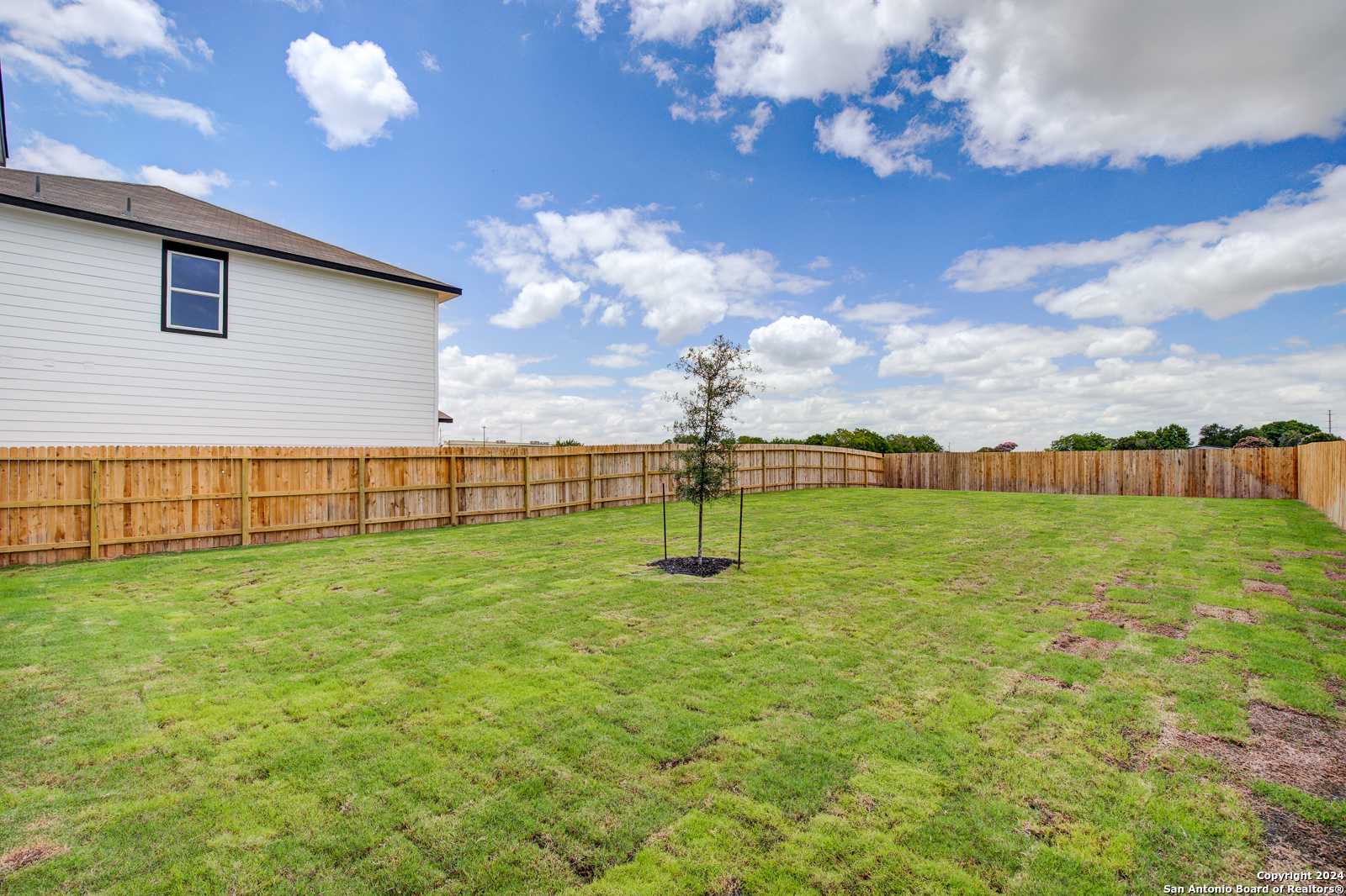 Private fenced backyard with lush green lawn and young tree beside white two-story home in Hannah Heights, Seguin, Texas