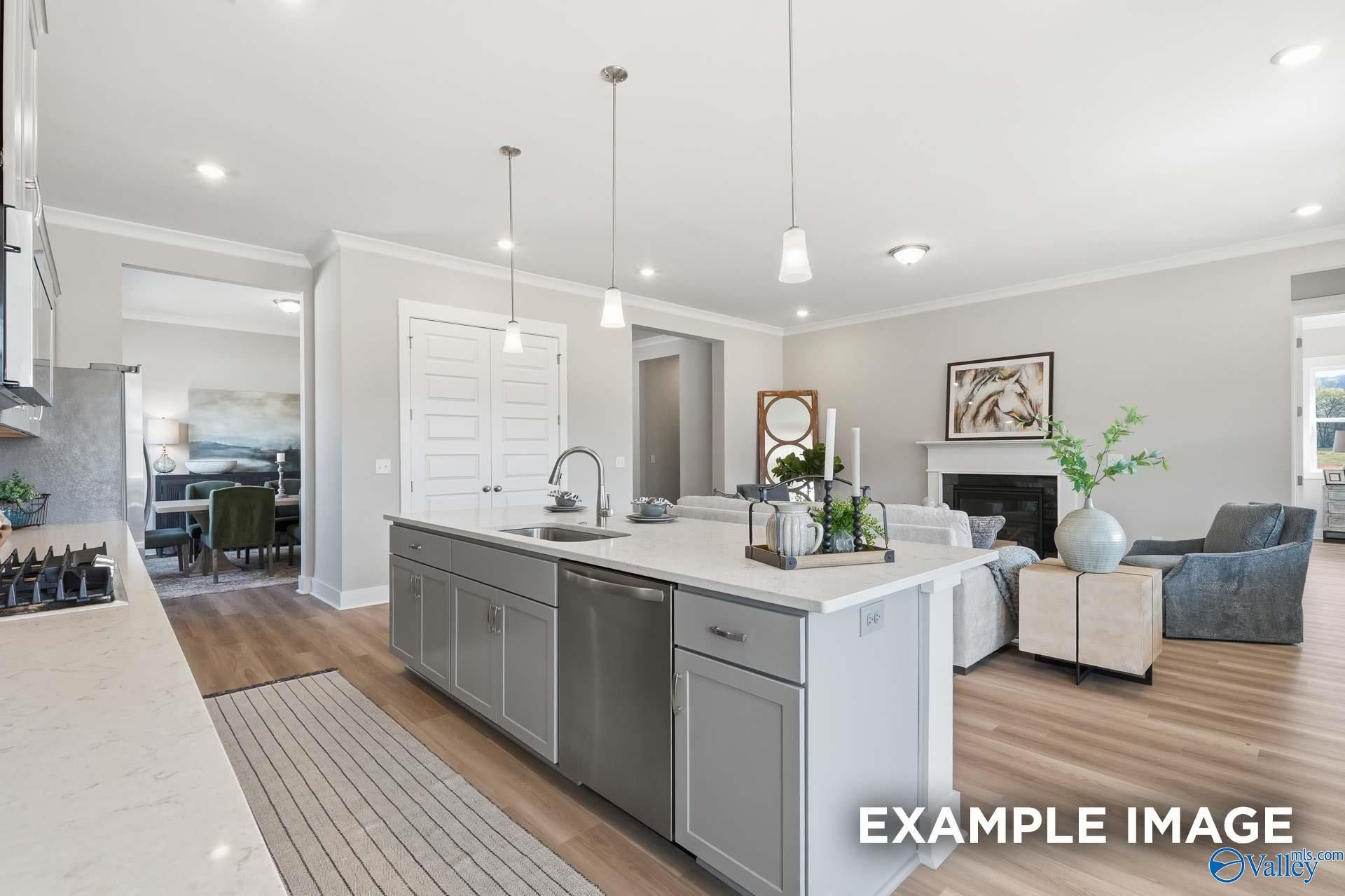 Image 15 of Davidson Homes' New Home at 7519 Speckle Belly Boulevard