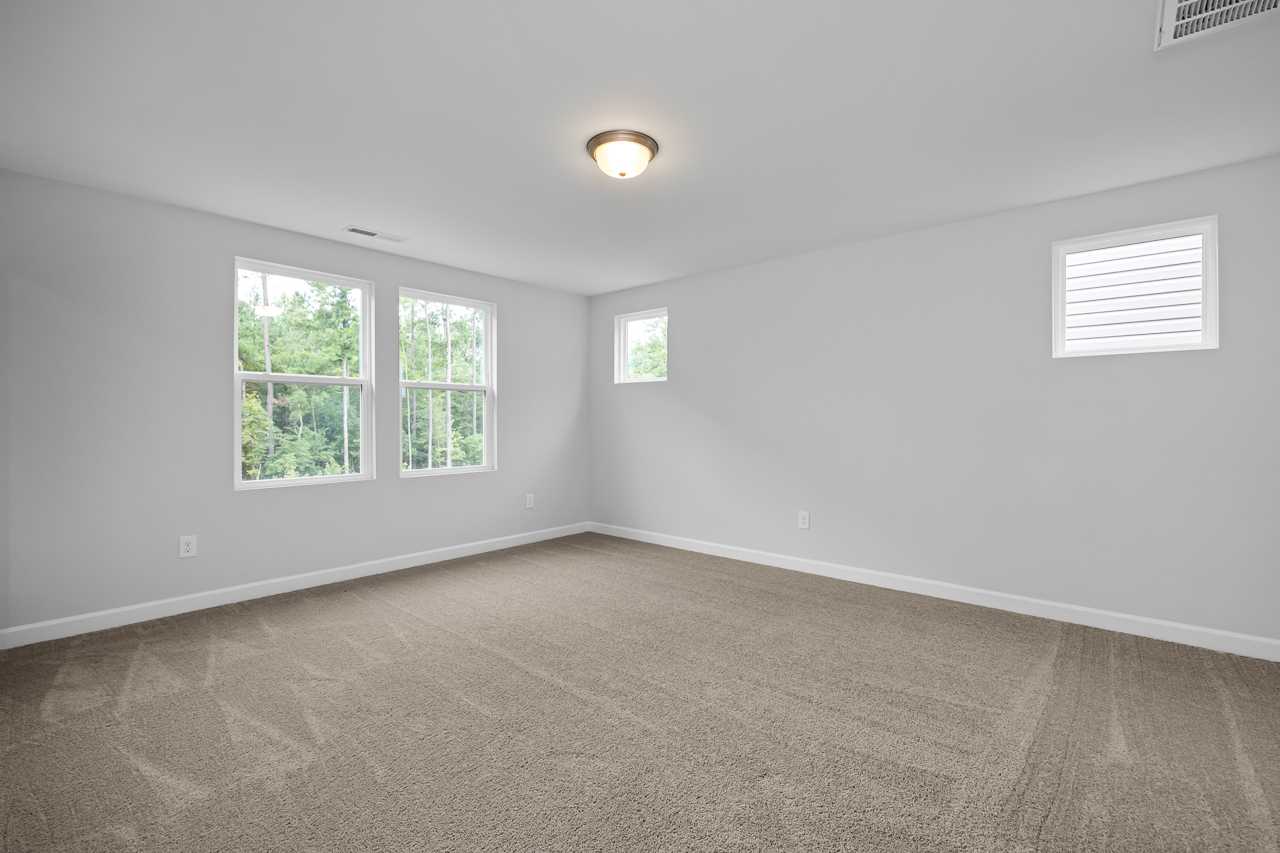 Spacious empty bedroom in The Durham D with light gray walls, beige carpet, large tree-view windows, and ceiling light