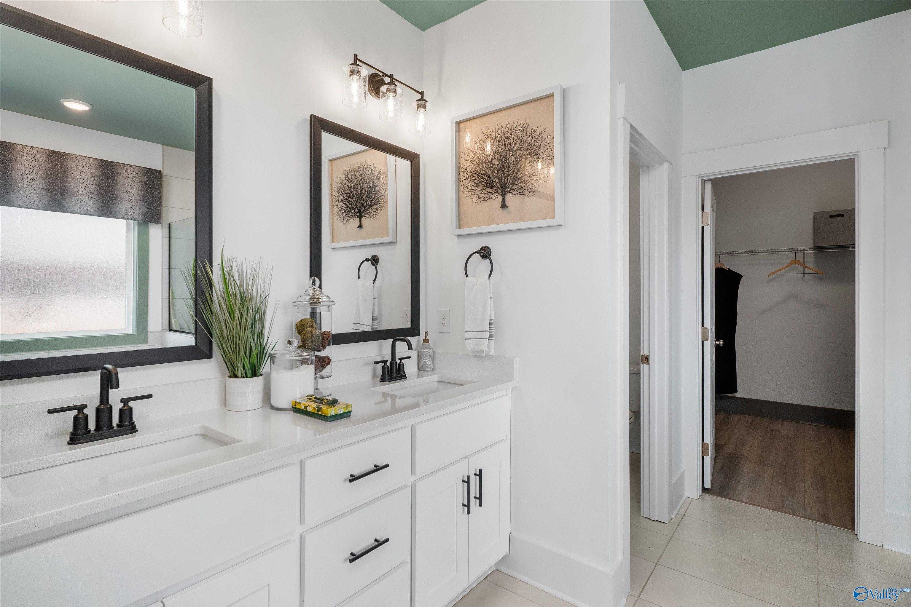Modern master bathroom featuring double white vanity, black-framed mirrors, green ceiling, and walk-in closet in Davidson Homes The Rockford B, Madison, Alabama