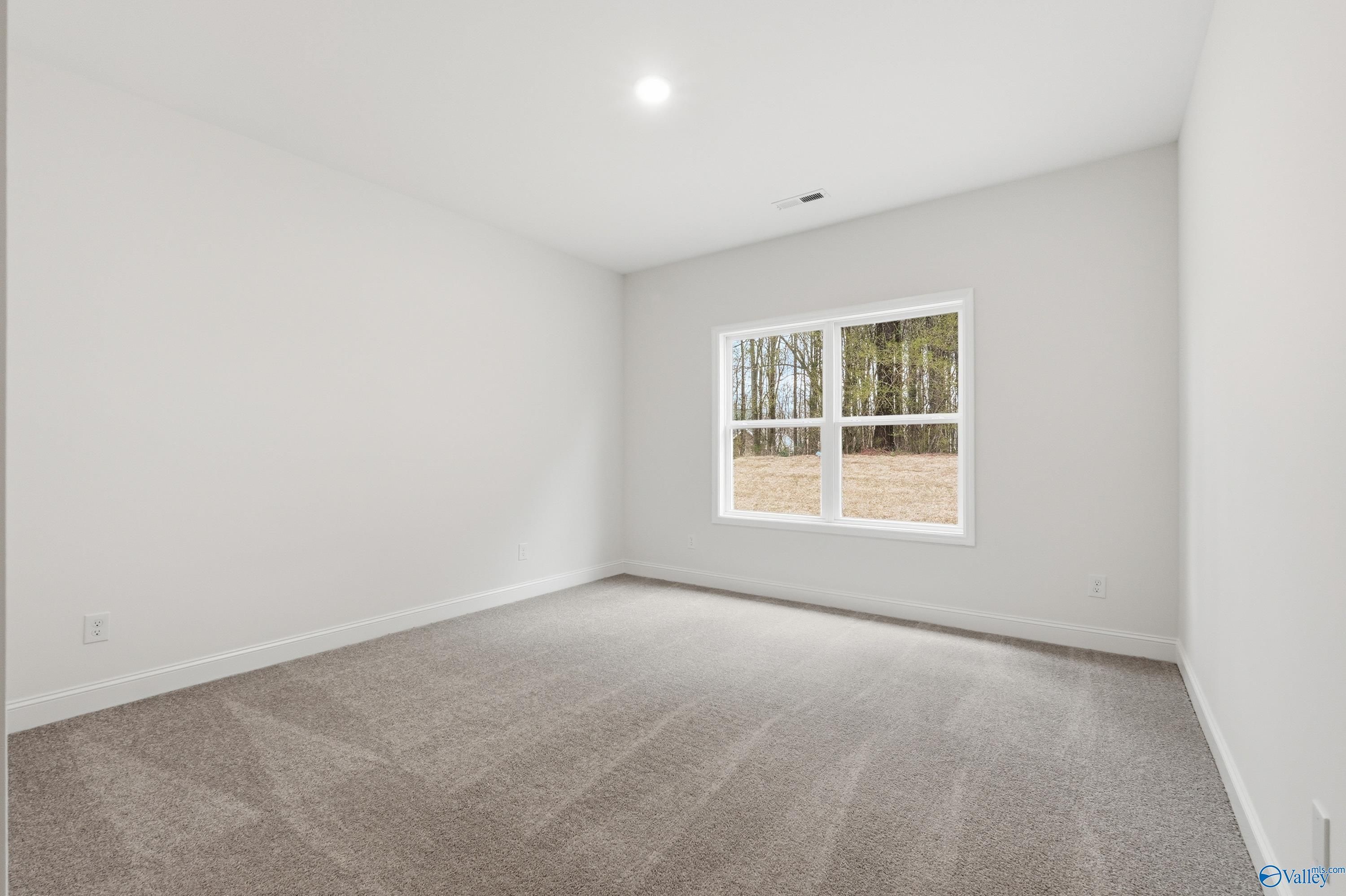 Bright empty bedroom with neutral walls, beige carpet, and large window overlooking wooded area in The Asheville C, Arab, Alabama