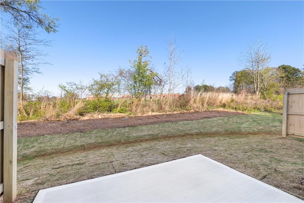 Spacious backyard concrete patio with new sod, wooden fence, and wooded greenery under blue sky in Davidson Homes The Cary A, Winder, Georgia