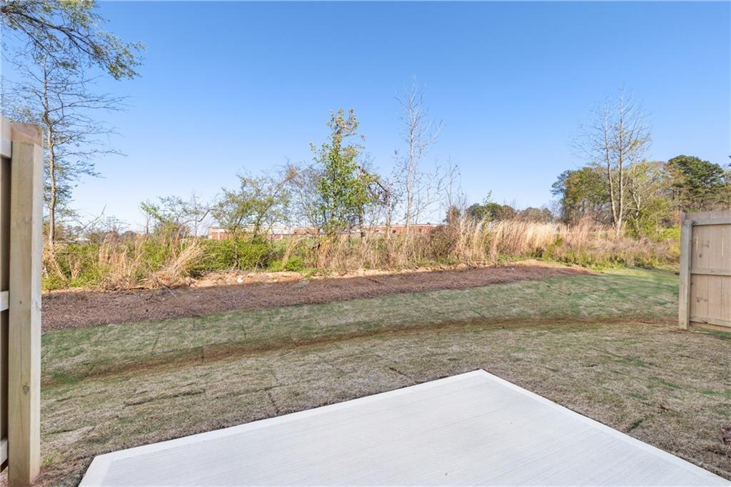 Spacious backyard concrete patio with new sod, wooden fence, and wooded greenery under blue sky in Davidson Homes The Cary A, Winder, Georgia