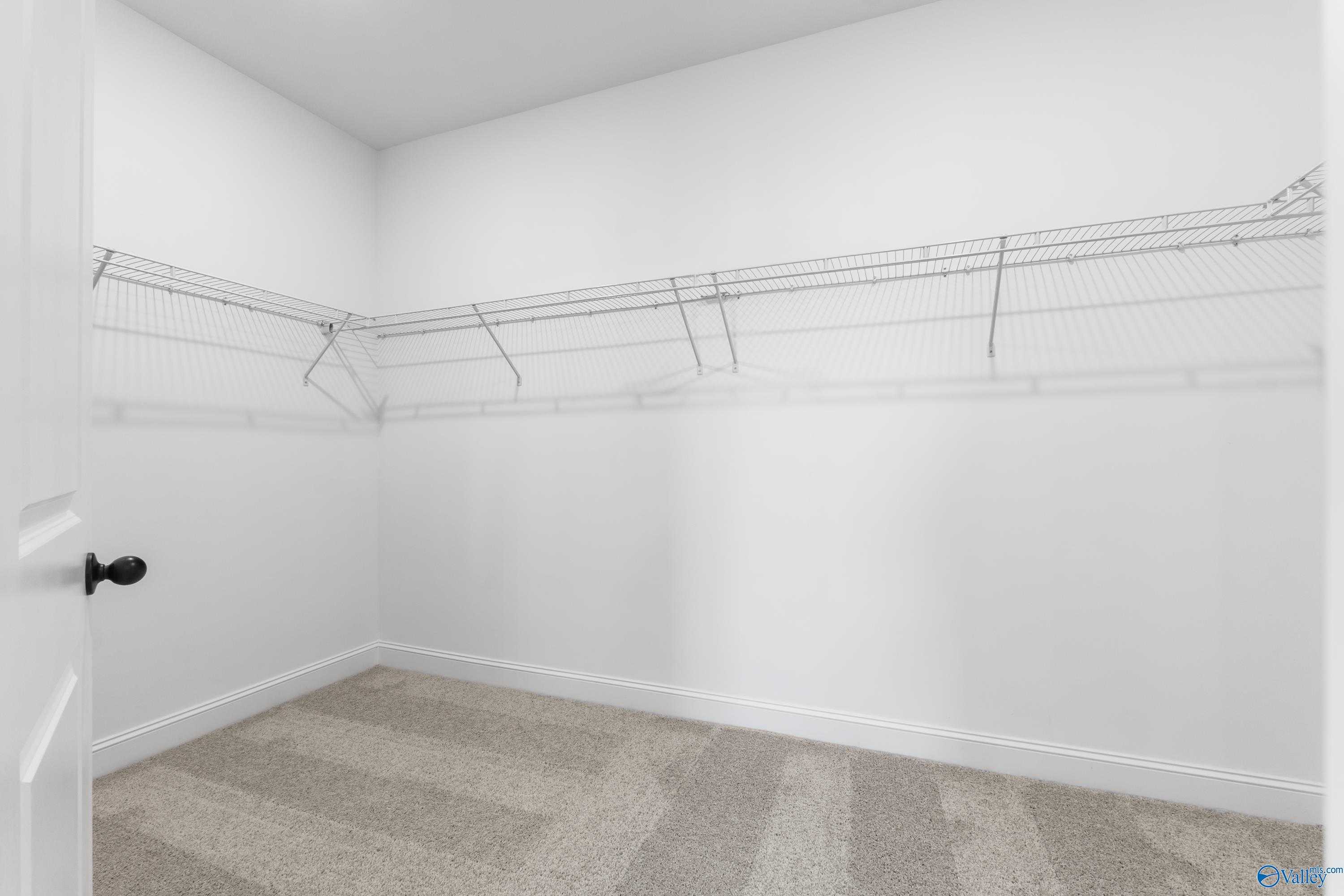 Spacious walk-in closet featuring wire shelving and neutral carpet in The Finleigh floor plan by Davidson Homes, Toney, Alabama