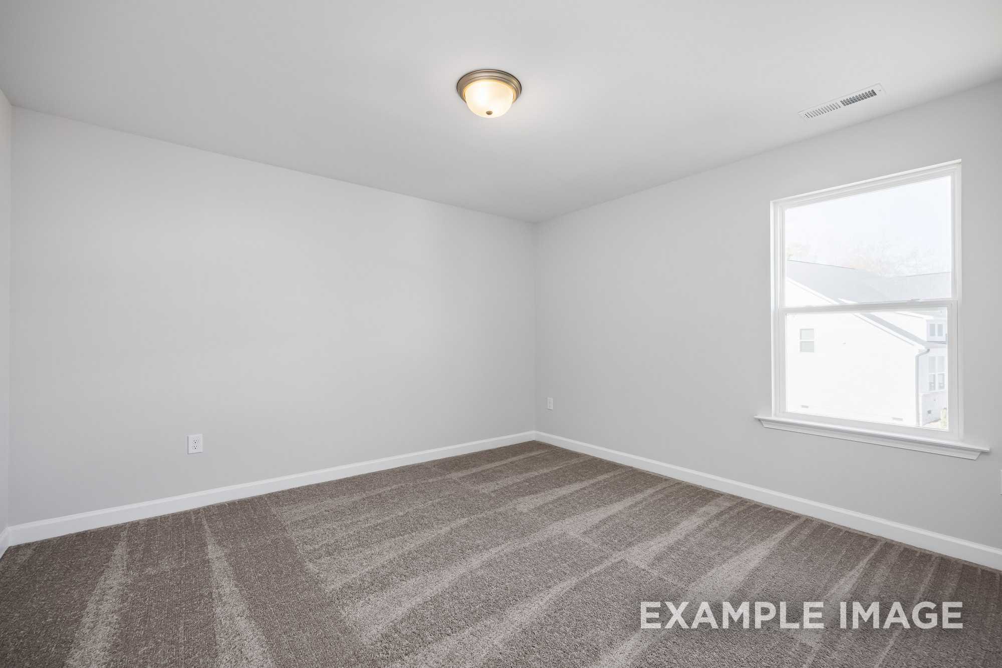 Spacious empty bedroom in The Cypress D II with neutral gray walls, plush carpet, large window, and ceiling light