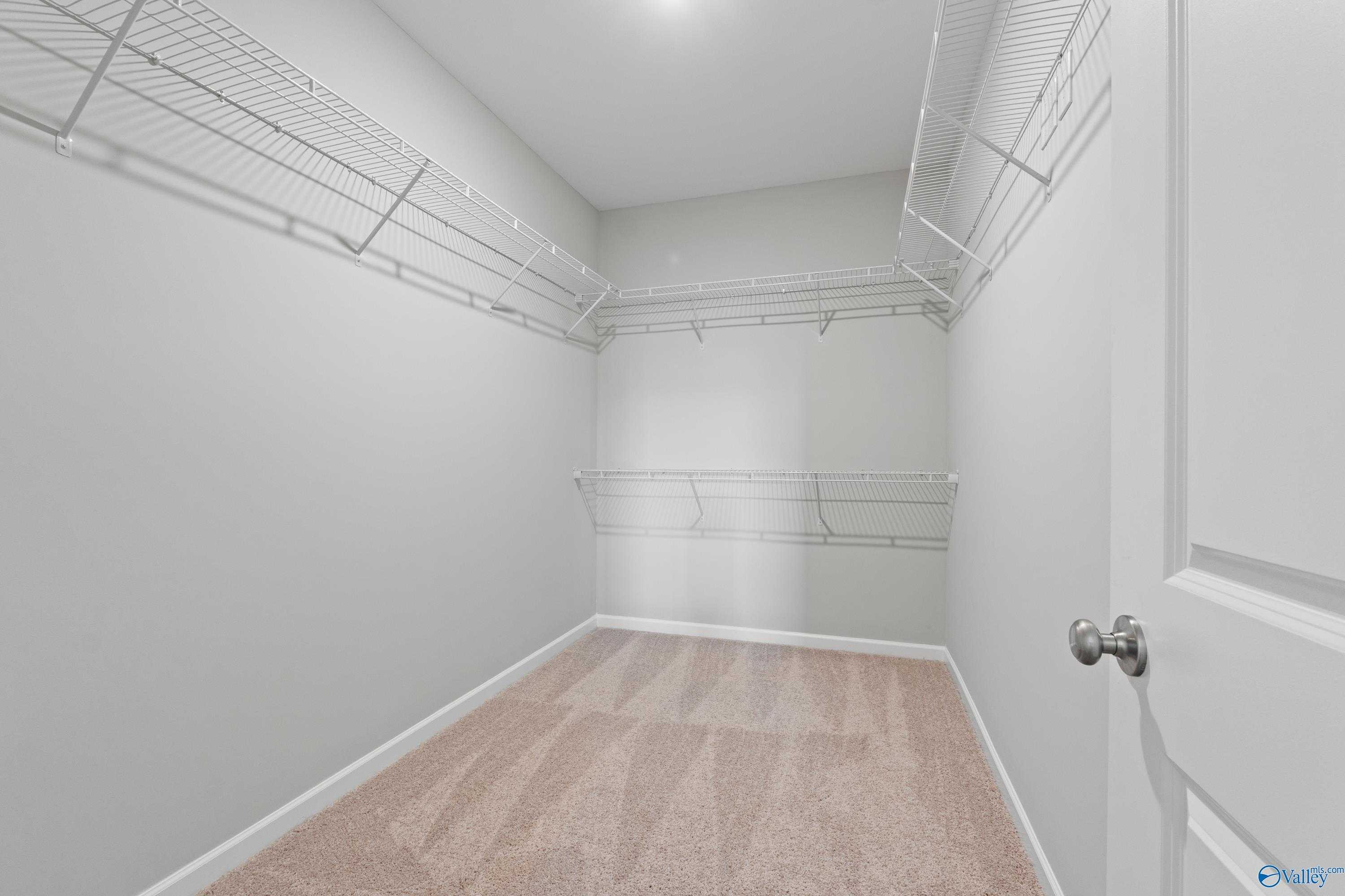 Spacious walk-in closet with wire shelving, gray walls, and carpeted floor in Evermore Homes The Aurora, Harvest, Alabama