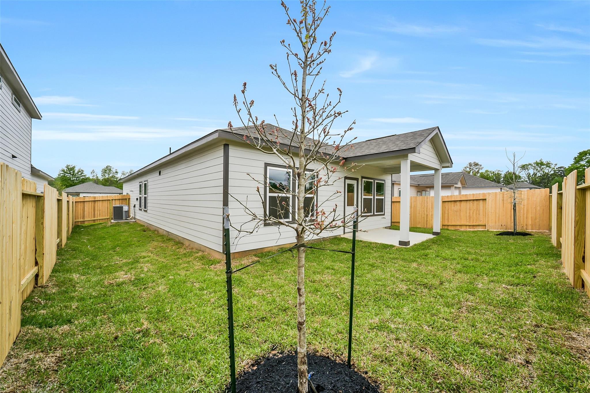 Fenced backyard with covered patio, young tree, and lush grass in Davidson Homes The Frio F, Conroe, Texas