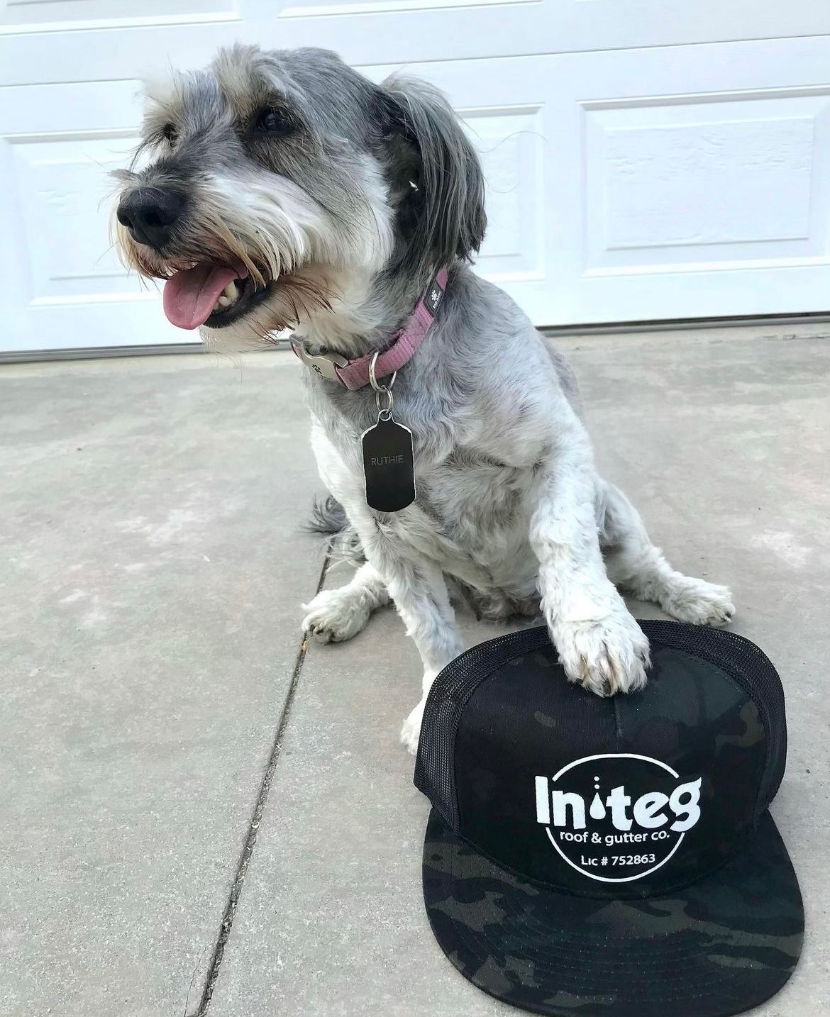 Ruthie - Integ Roof's mascot